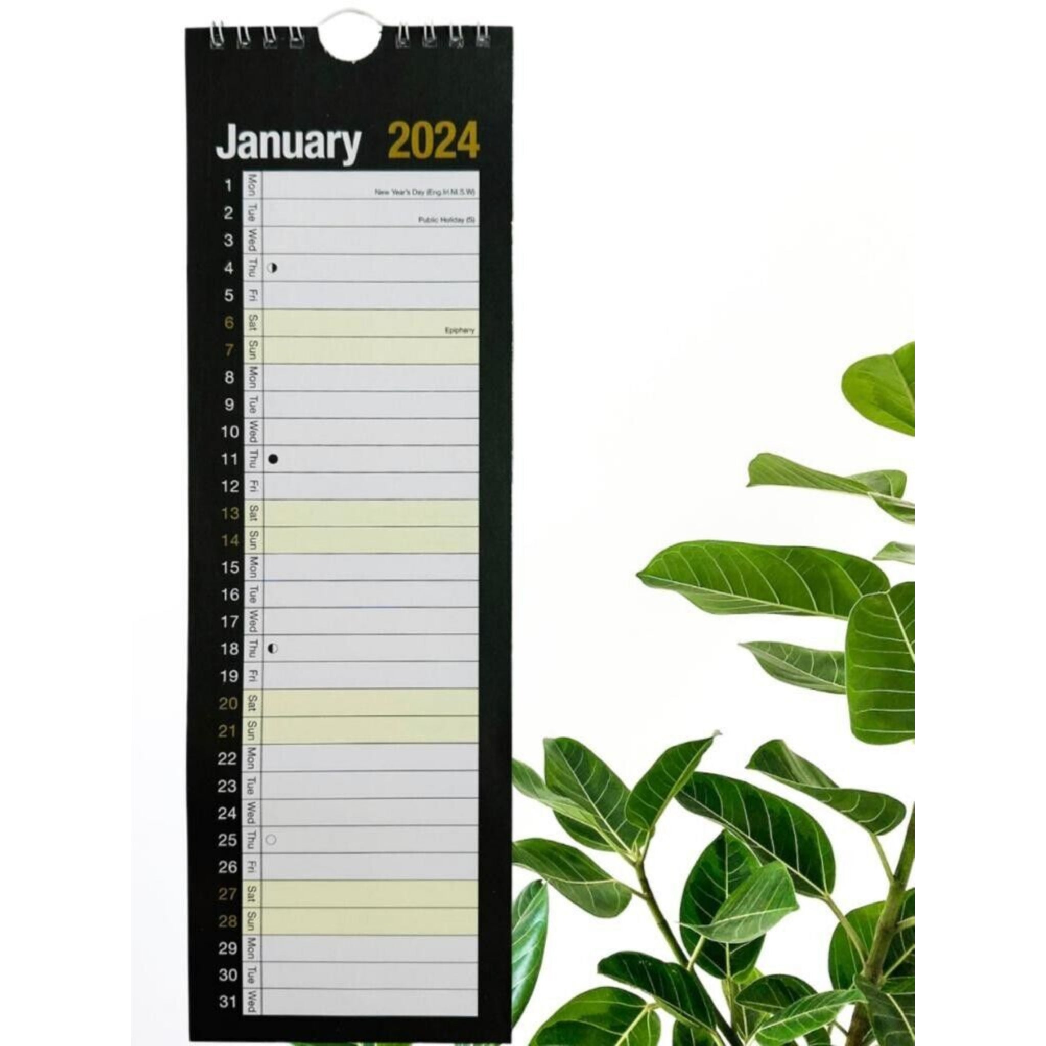 Beclen Harp 2025 Slim Month To View/MTV Spiral Bound Luxury B&W Hanging Wall Planner Calendar