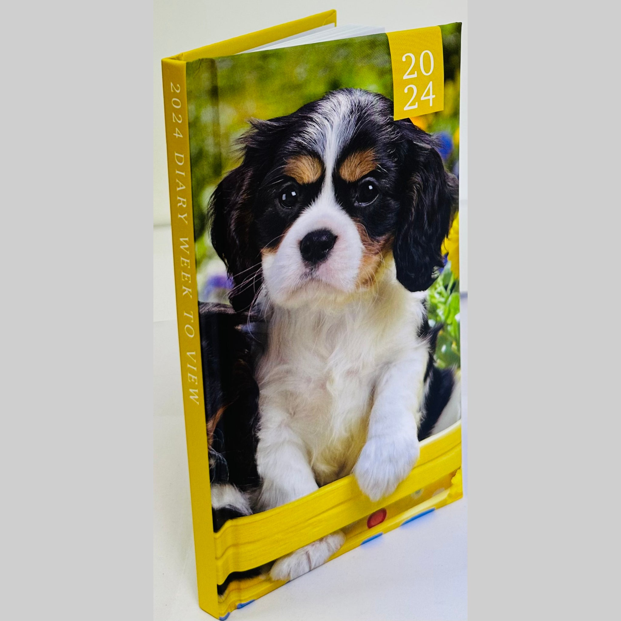 Beclen Harp 2024 Week To View/WTV Luxury Personalized Cute Pet/Kitten/Puppy Print Diary