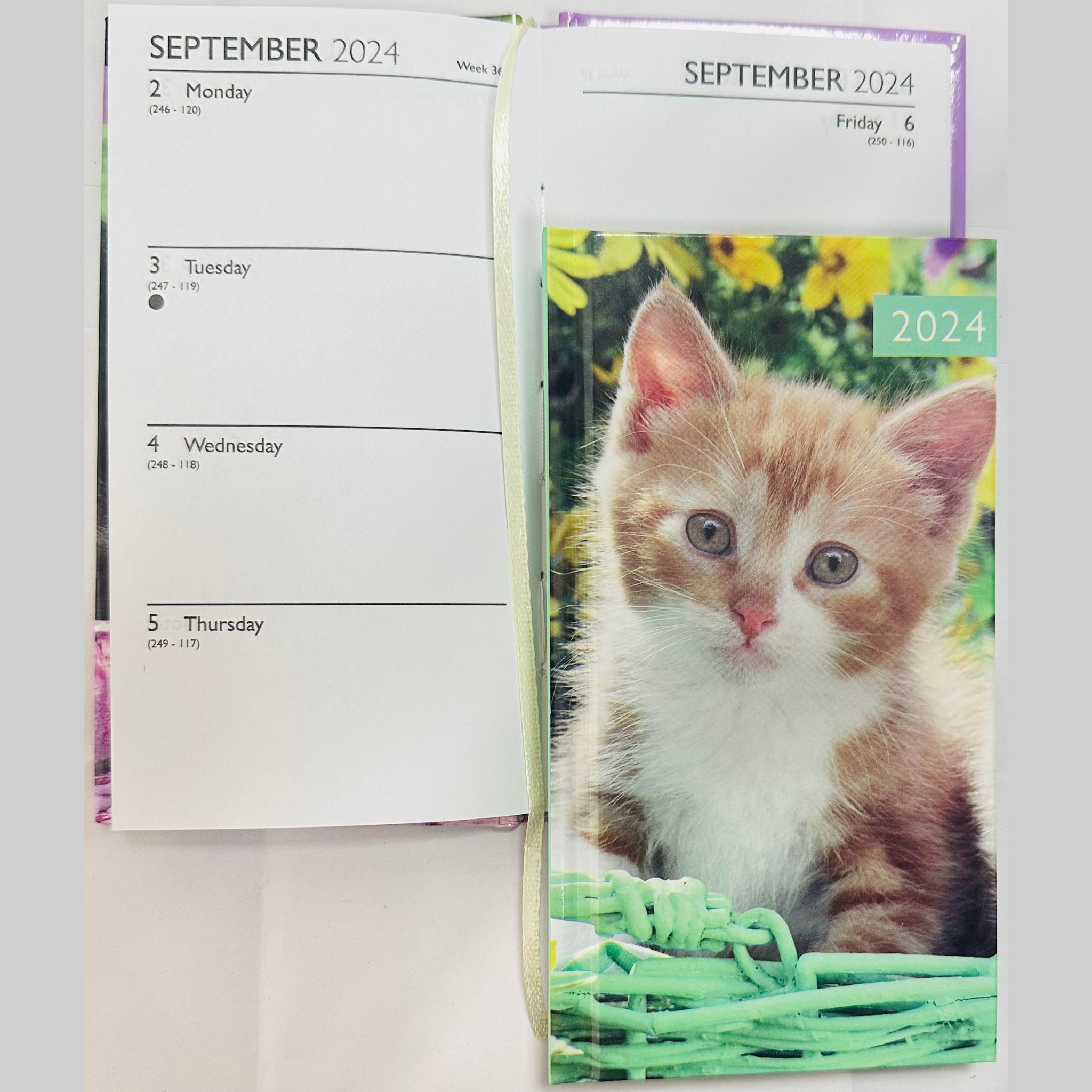 Beclen Harp 2024 Slim Week To View/WTV Personal Executive Cute Pet/Kitten/Puppy Print Diary With Hardback Cover