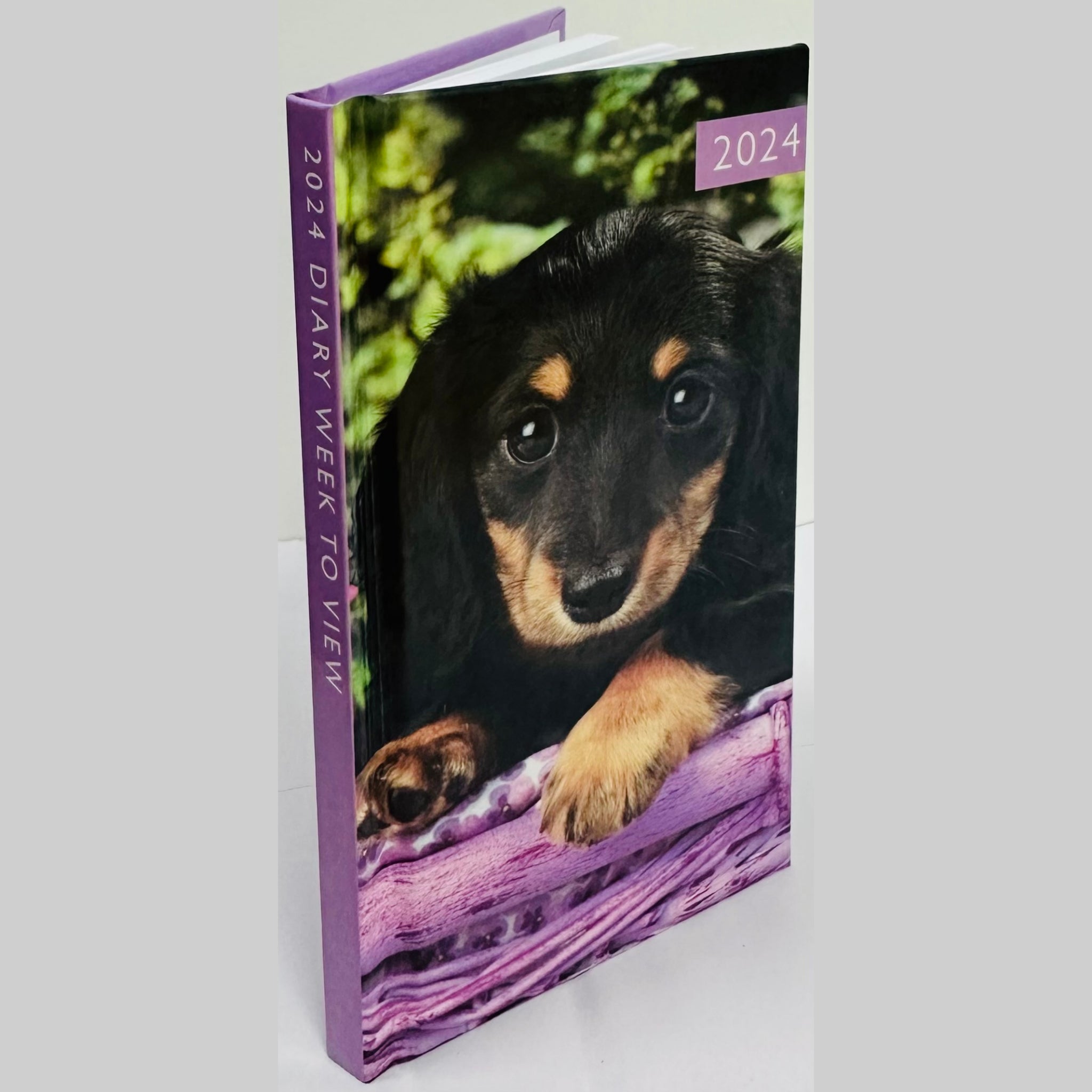 Beclen Harp 2024 Slim Week To View/WTV Personal Executive Cute Pet/Kitten/Puppy Print Diary With Hardback Cover