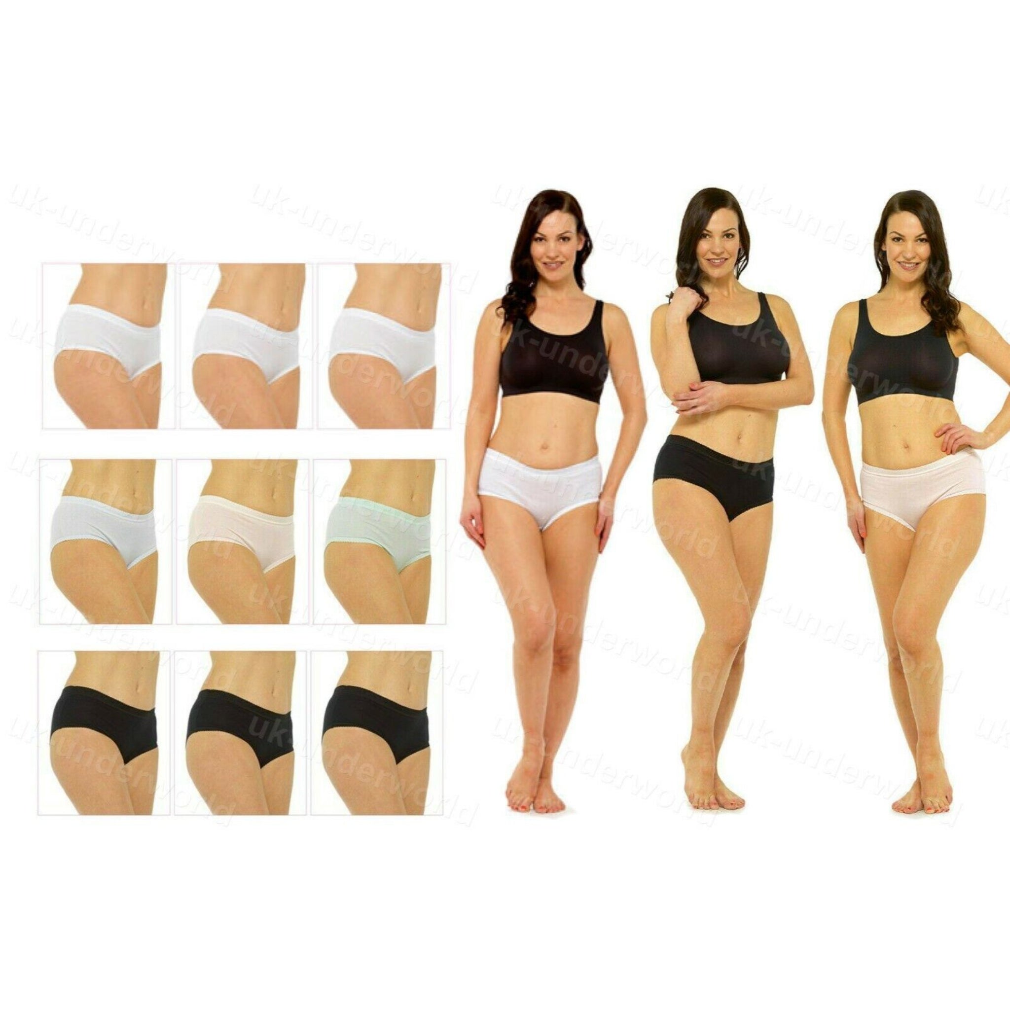 Beclen Harp 3 Pair Women/Ladies Cotton Full Briefs Pants Knickers Underwears For Adults Size 12-26-Perfect Christmas/Xmas Gift