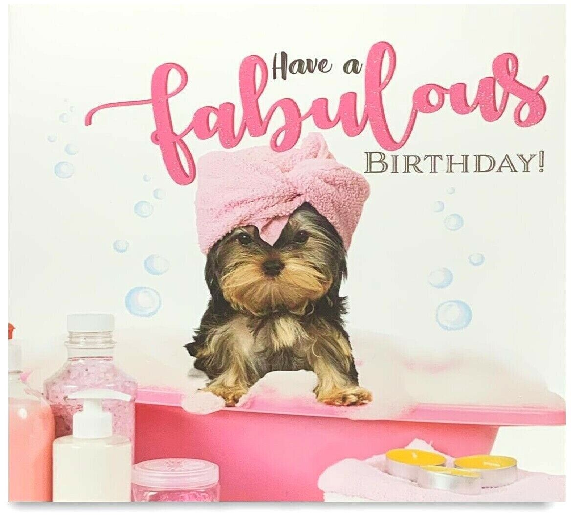 Beclen Harp Pack of 8 Mixed Assorted Happy Birthday Pet Cards Greeting Card Cats & Dogs