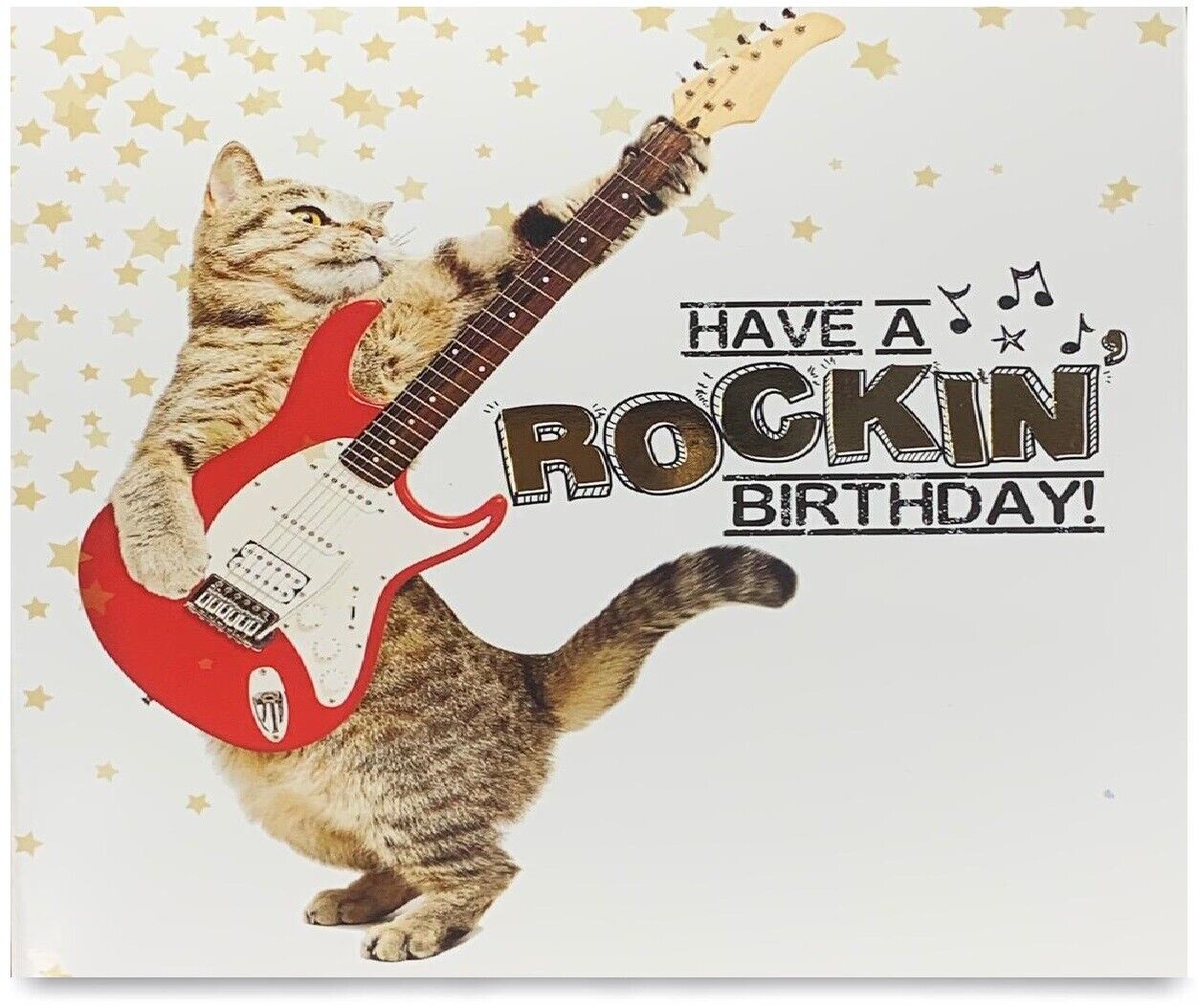 Beclen Harp Pack of 8 Mixed Assorted Happy Birthday Pet Cards Greeting Card Cats & Dogs