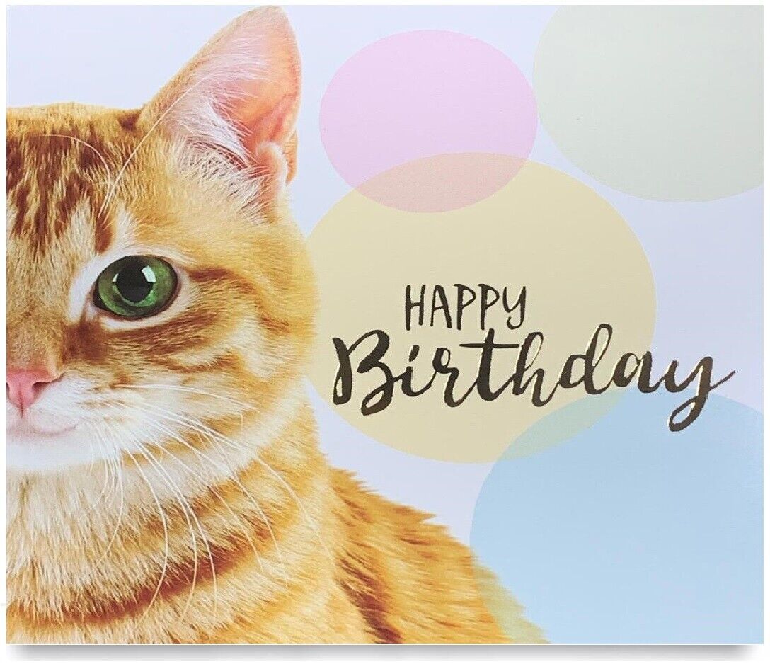 Beclen Harp Pack of 8 Mixed Assorted Happy Birthday Pet Cards Greeting Card Cats & Dogs