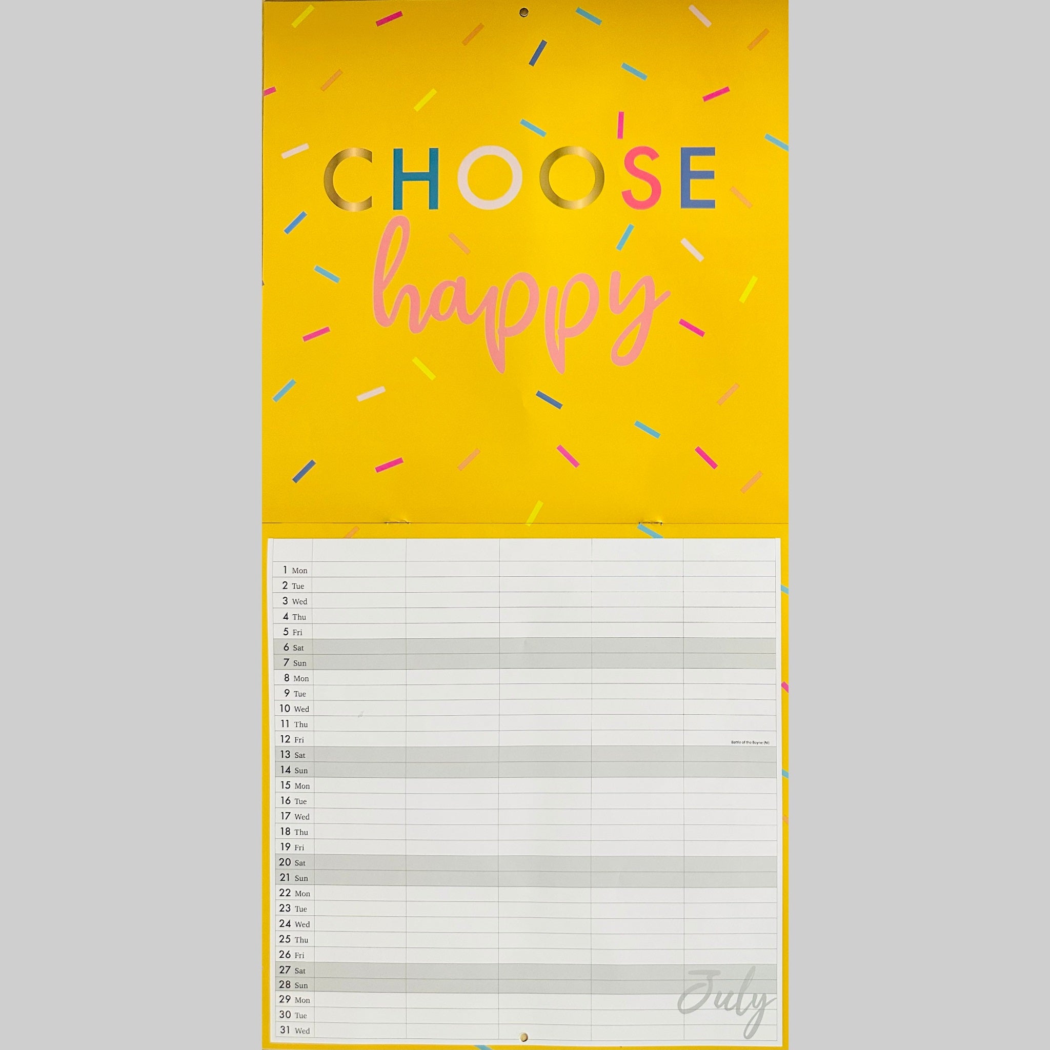 Beclen Harp 2024 Large Family Organiser Month To View/ Easy To View 5 Columns Planner Gold Style Wild , Best Life