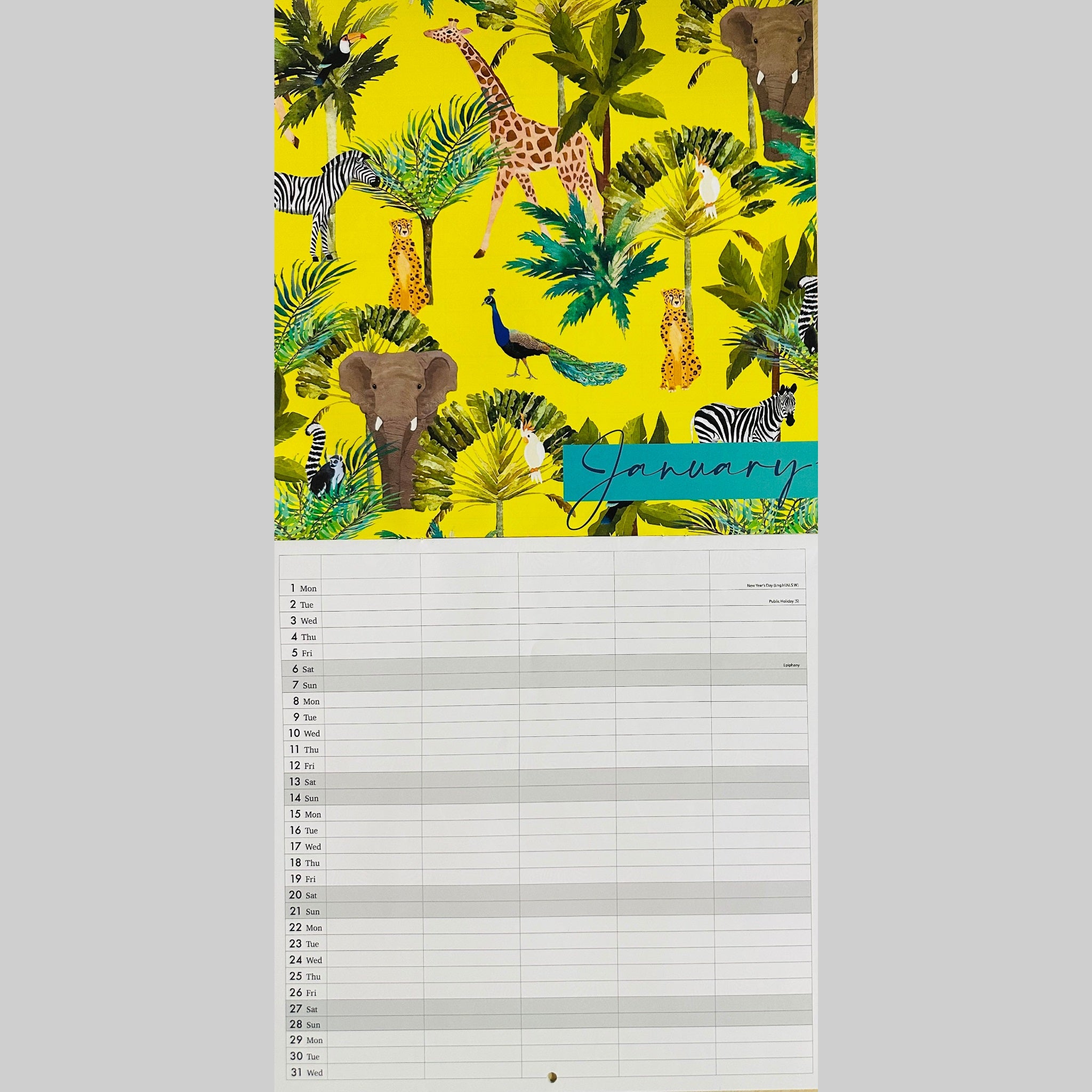 Beclen Harp 2024 Large Family Organiser Month To View/ Easy To View 5 Columns Planner Gold Style Wild , Best Life