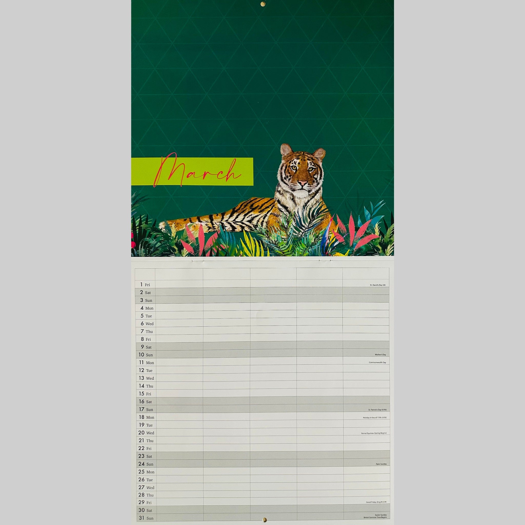 Beclen Harp 2024 Large Family Organiser Month To View/ Easy To View 5 Columns Planner Gold Style Wild , Best Life