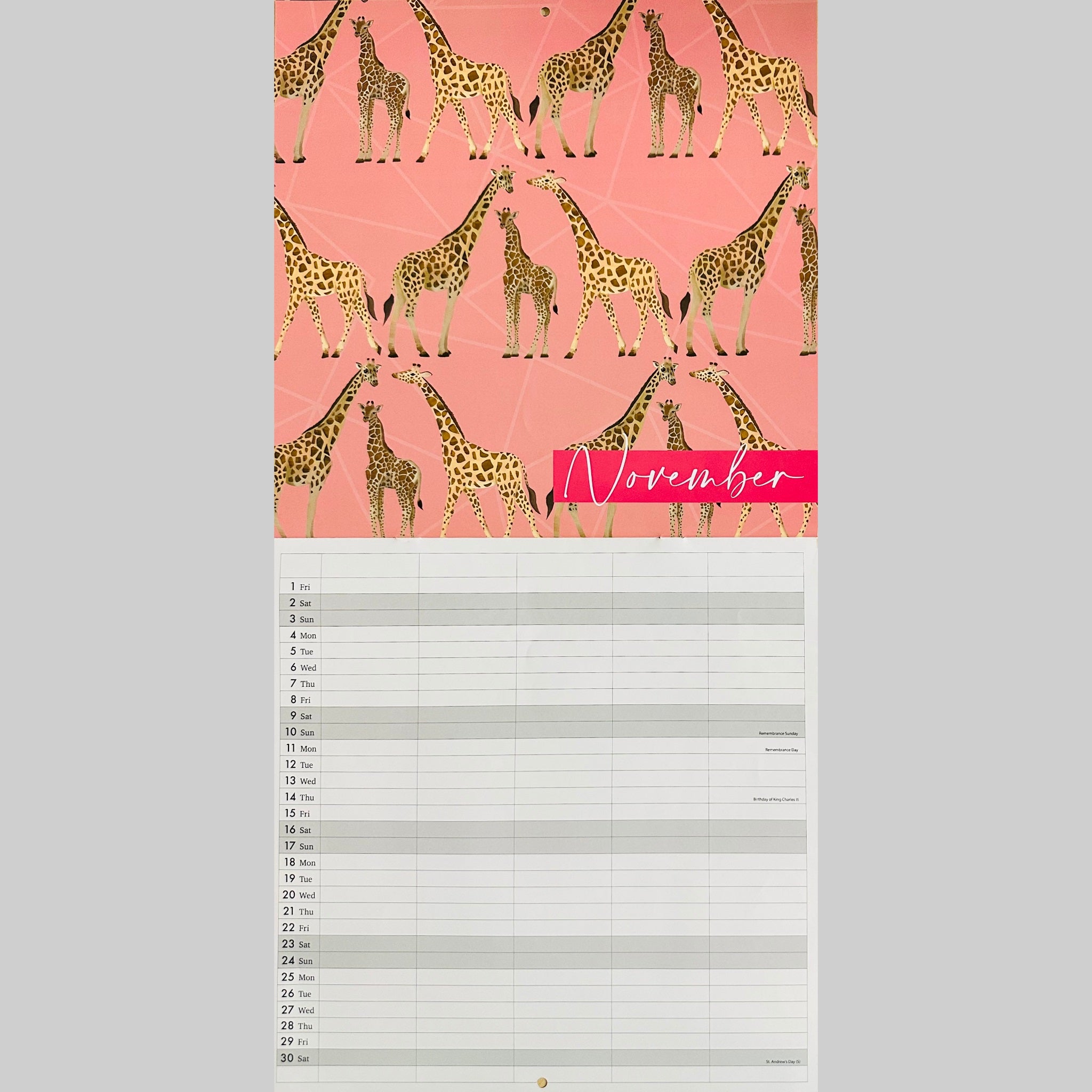 Beclen Harp 2024 Large Family Organiser Month To View/ Easy To View 5 Columns Planner Gold Style Wild , Best Life