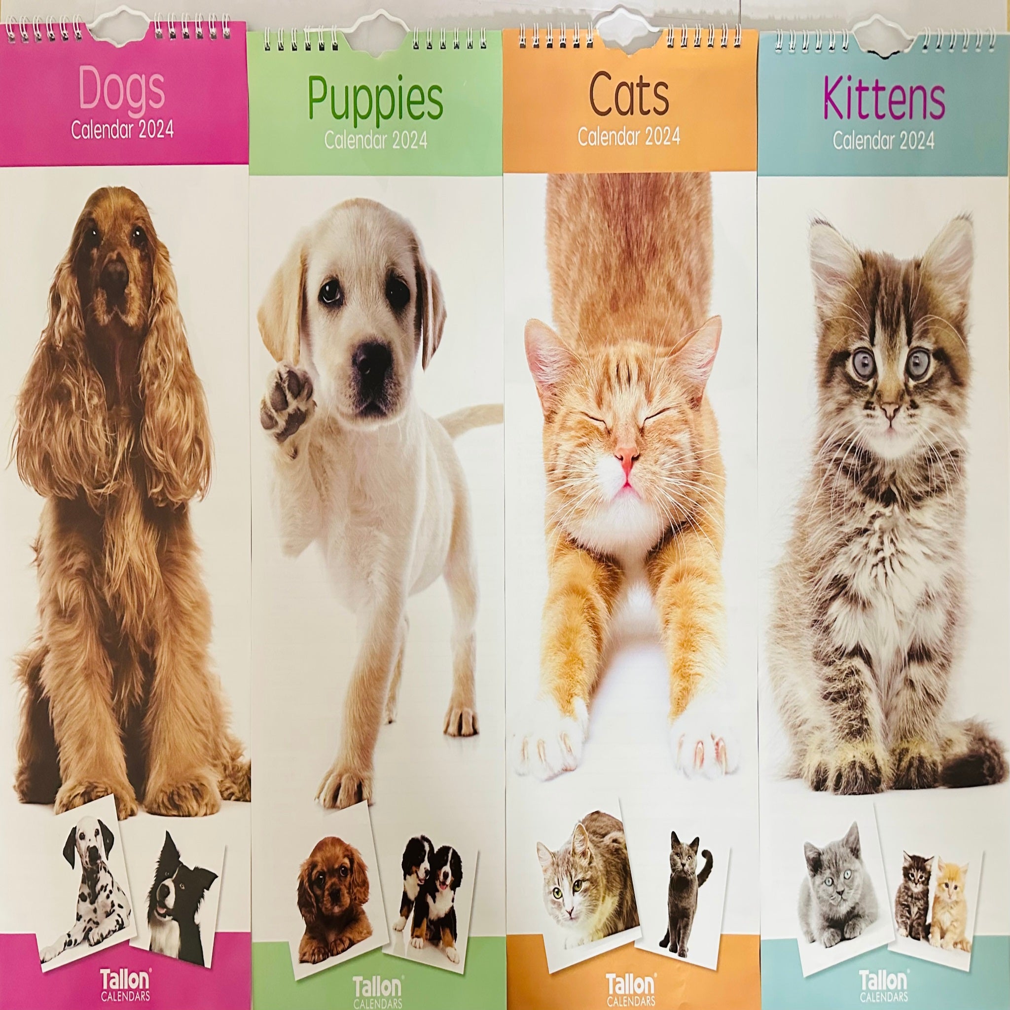 Beclen Harp Super Slim Month to View Spiral Bound Hanging Wall Calendar Home Office 2024 Dogs,Cats,Kittens,Puppies