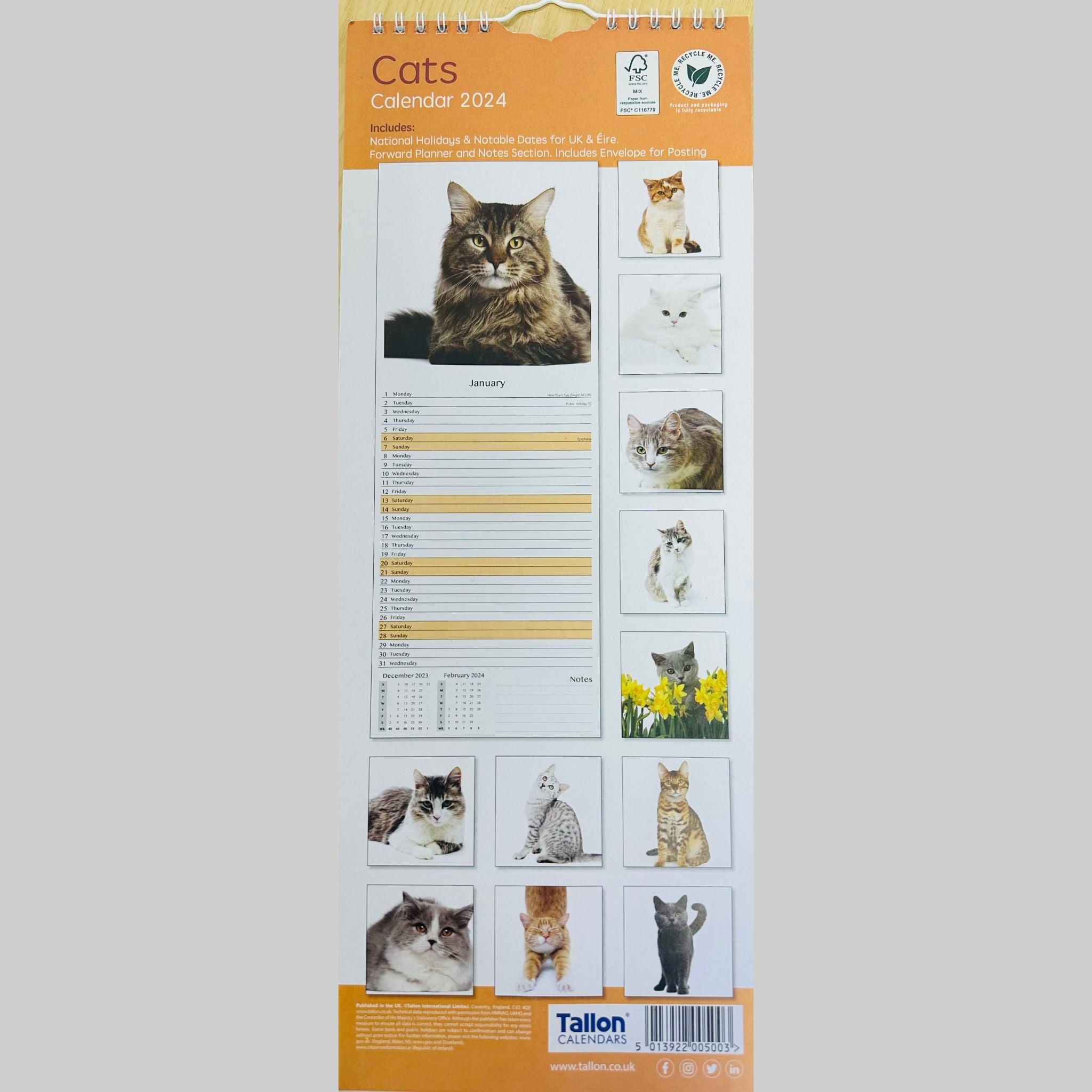 Beclen Harp Super Slim Month to View Spiral Bound Hanging Wall Calendar Home Office 2024 Dogs,Cats,Kittens,Puppies