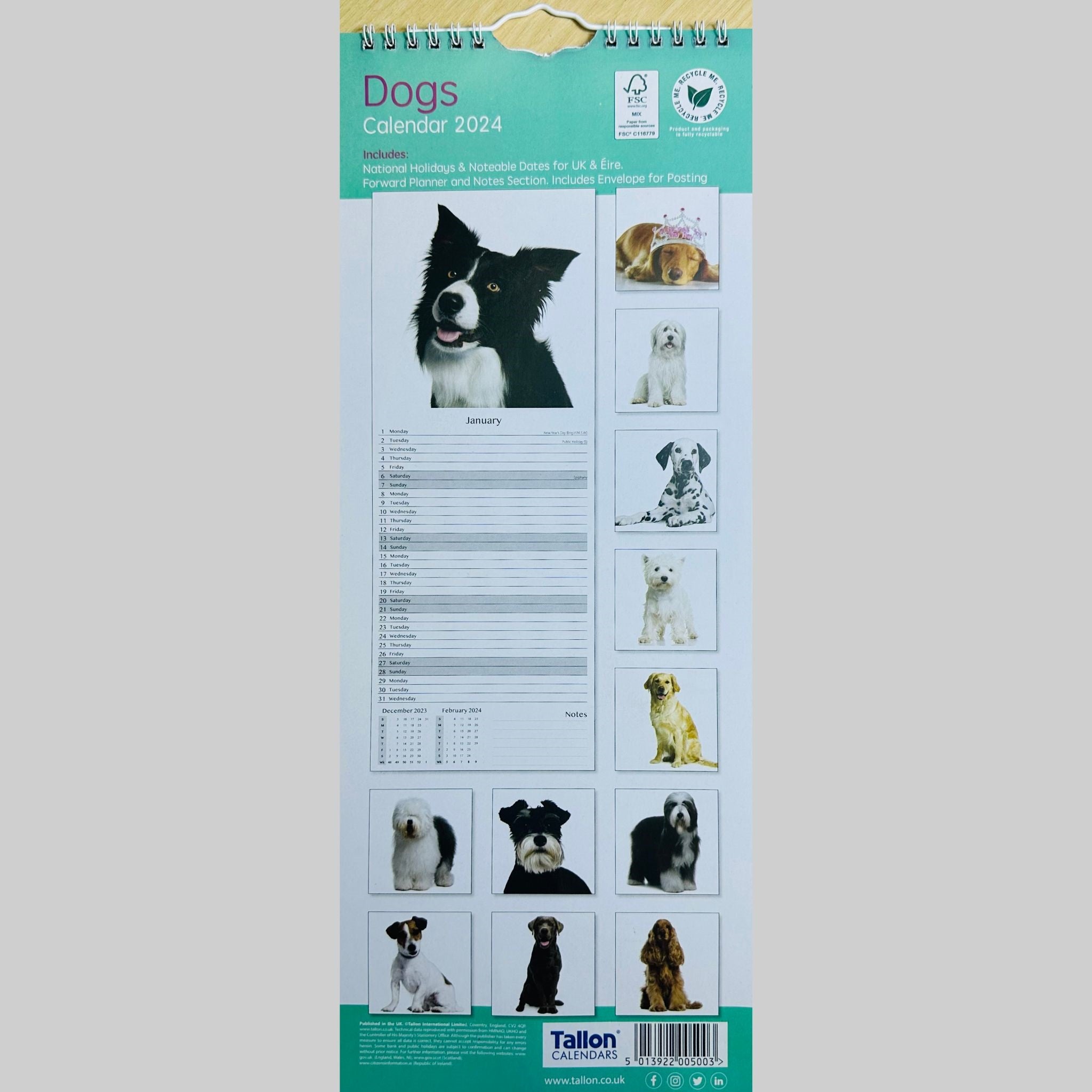 Beclen Harp Super Slim Month to View Spiral Bound Hanging Wall Calendar Home Office 2024 Dogs,Cats,Kittens,Puppies