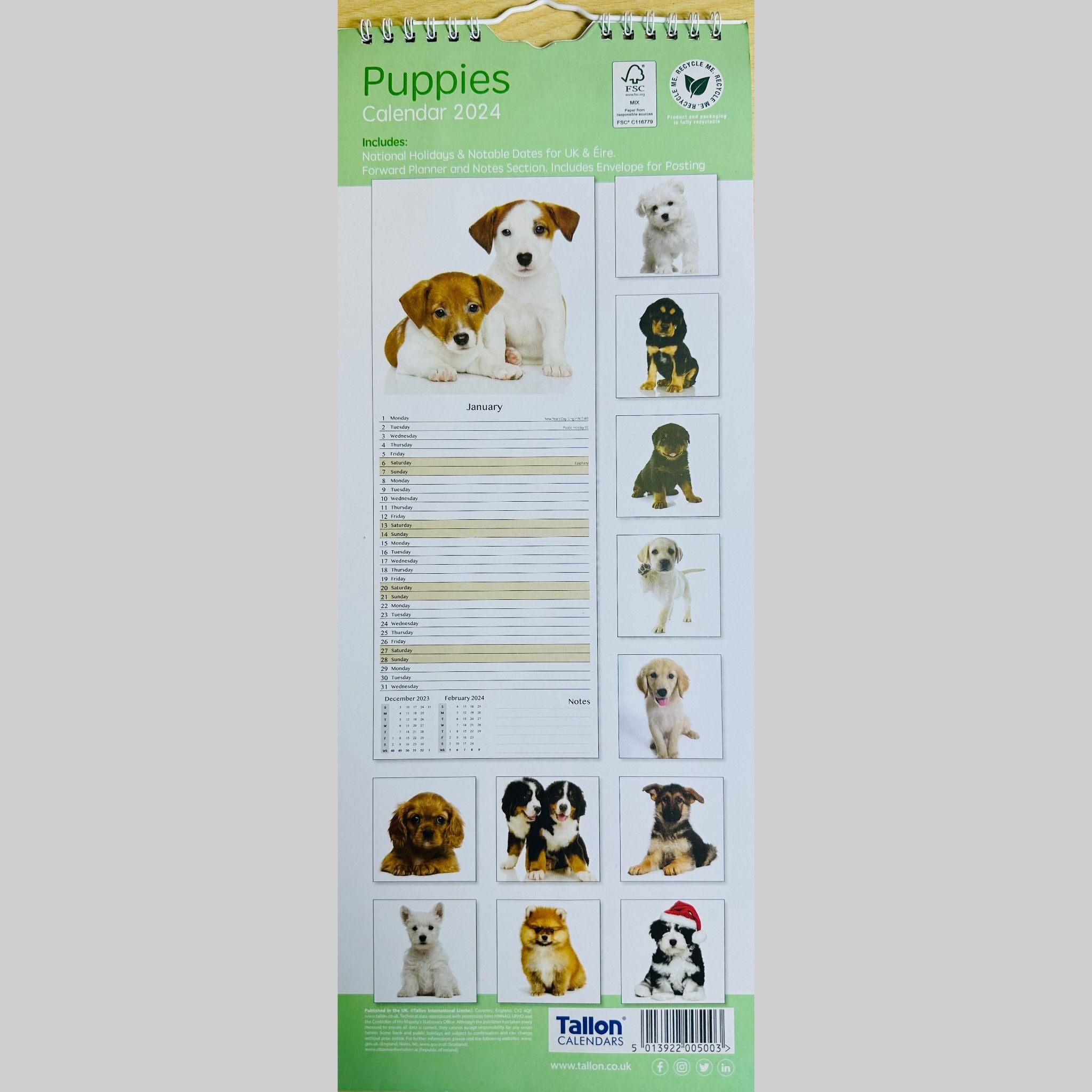Beclen Harp Super Slim Month to View Spiral Bound Hanging Wall Calendar Home Office 2024 Dogs,Cats,Kittens,Puppies