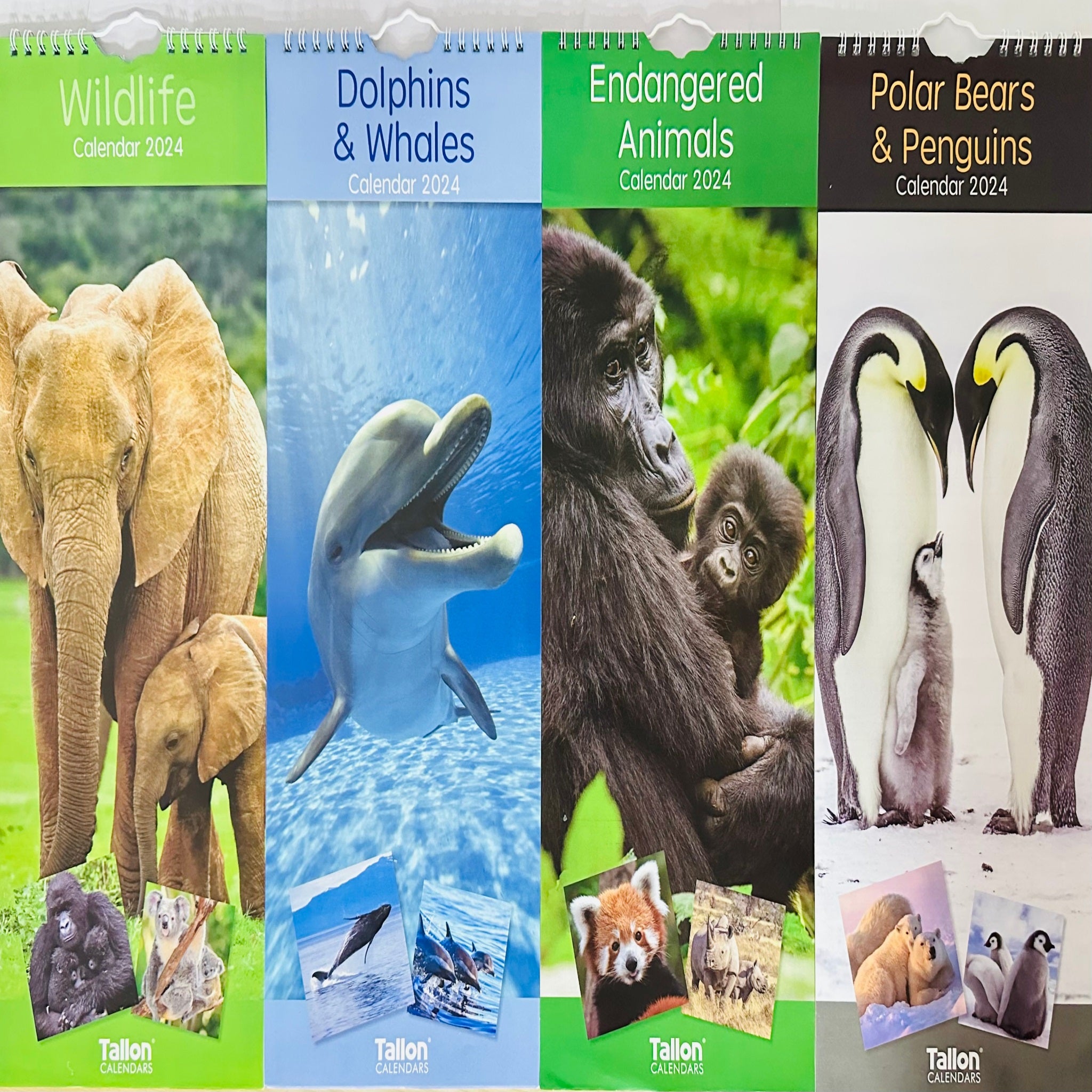 Beclen Harp Super Slim Month to View Spiral Bound Hanging Wall Calendar Home Office 2024 Dolphins and Whales/ Polar Bears and Penguins/ Endangered Animals/ Wildlife