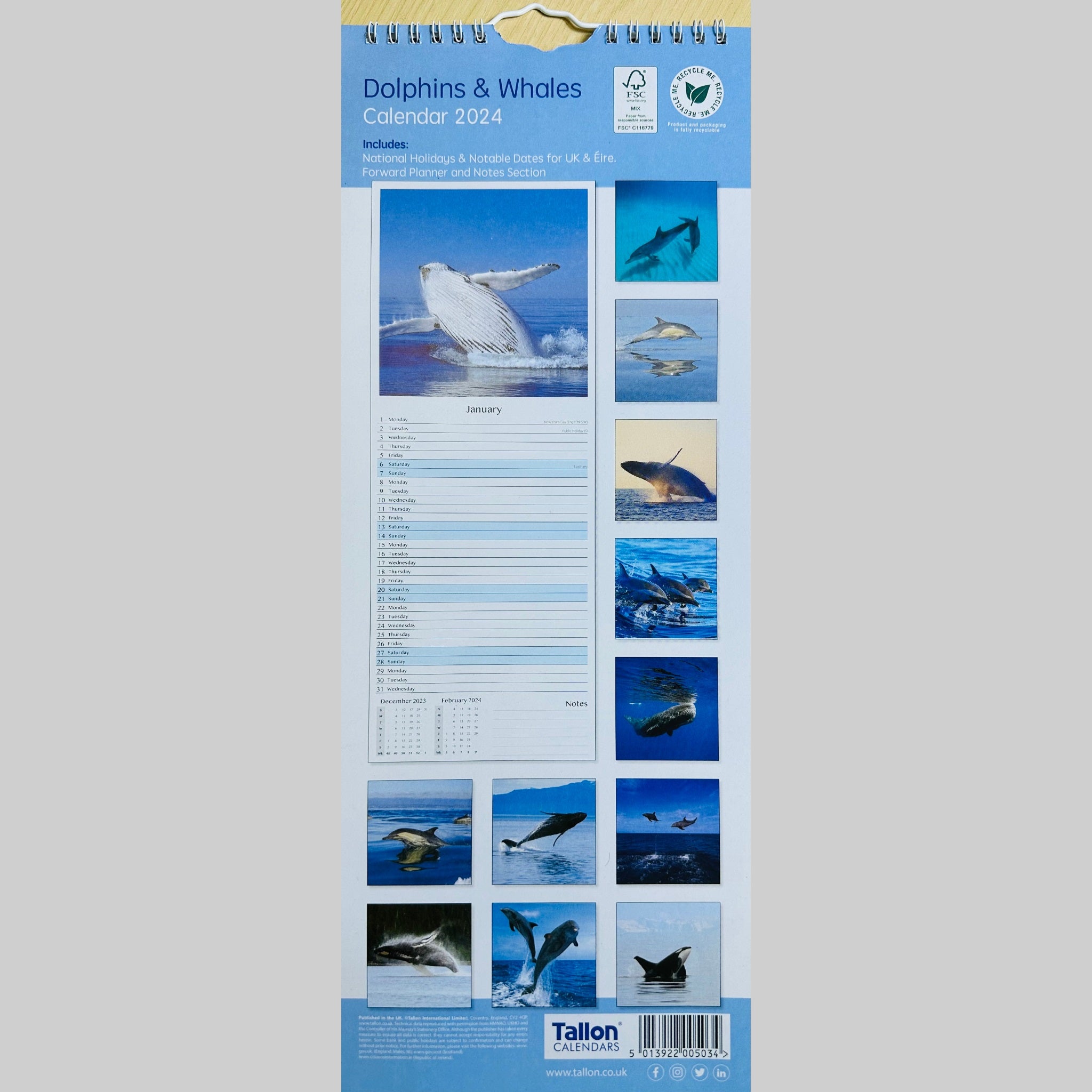 Beclen Harp Super Slim Month to View Spiral Bound Hanging Wall Calendar Home Office 2024 Dolphins and Whales/ Polar Bears and Penguins/ Endangered Animals/ Wildlife