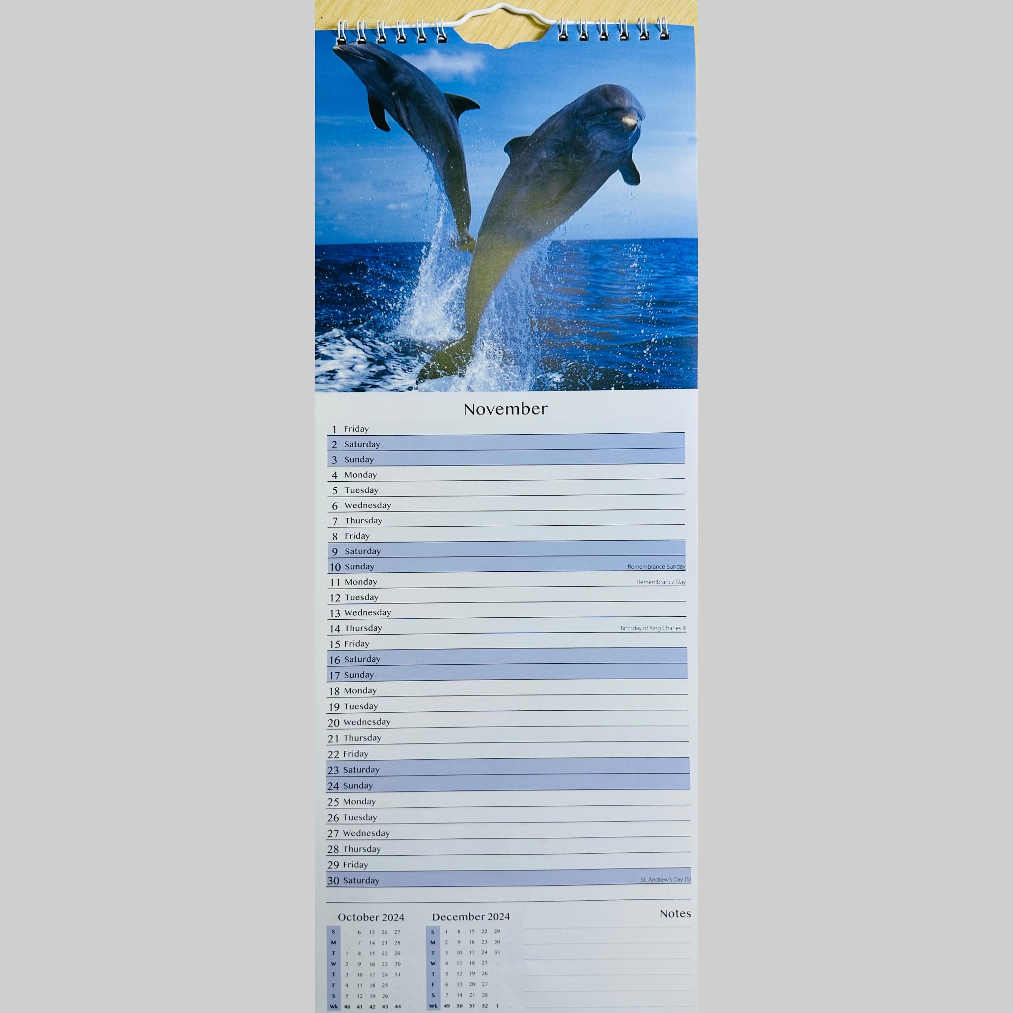 Beclen Harp Super Slim Month to View Spiral Bound Hanging Wall Calendar Home Office 2024 Dolphins and Whales/ Polar Bears and Penguins/ Endangered Animals/ Wildlife