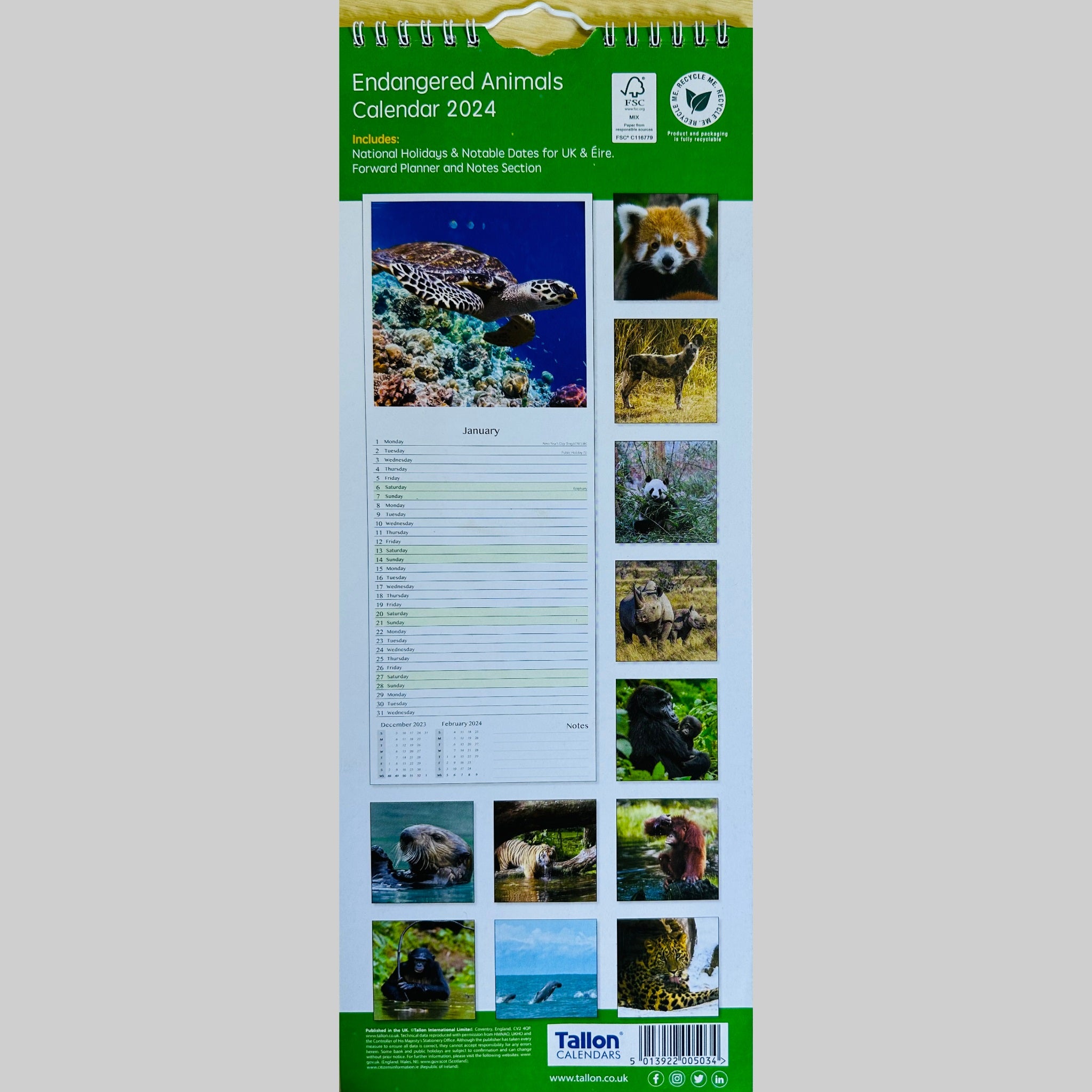 Beclen Harp Super Slim Month to View Spiral Bound Hanging Wall Calendar Home Office 2024 Dolphins and Whales/ Polar Bears and Penguins/ Endangered Animals/ Wildlife