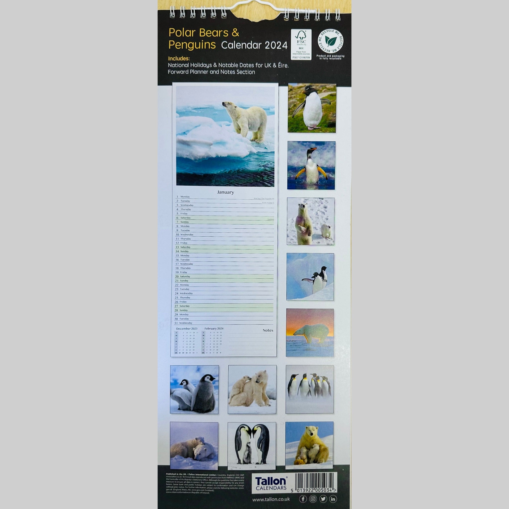 Beclen Harp Super Slim Month to View Spiral Bound Hanging Wall Calendar Home Office 2024 Dolphins and Whales/ Polar Bears and Penguins/ Endangered Animals/ Wildlife