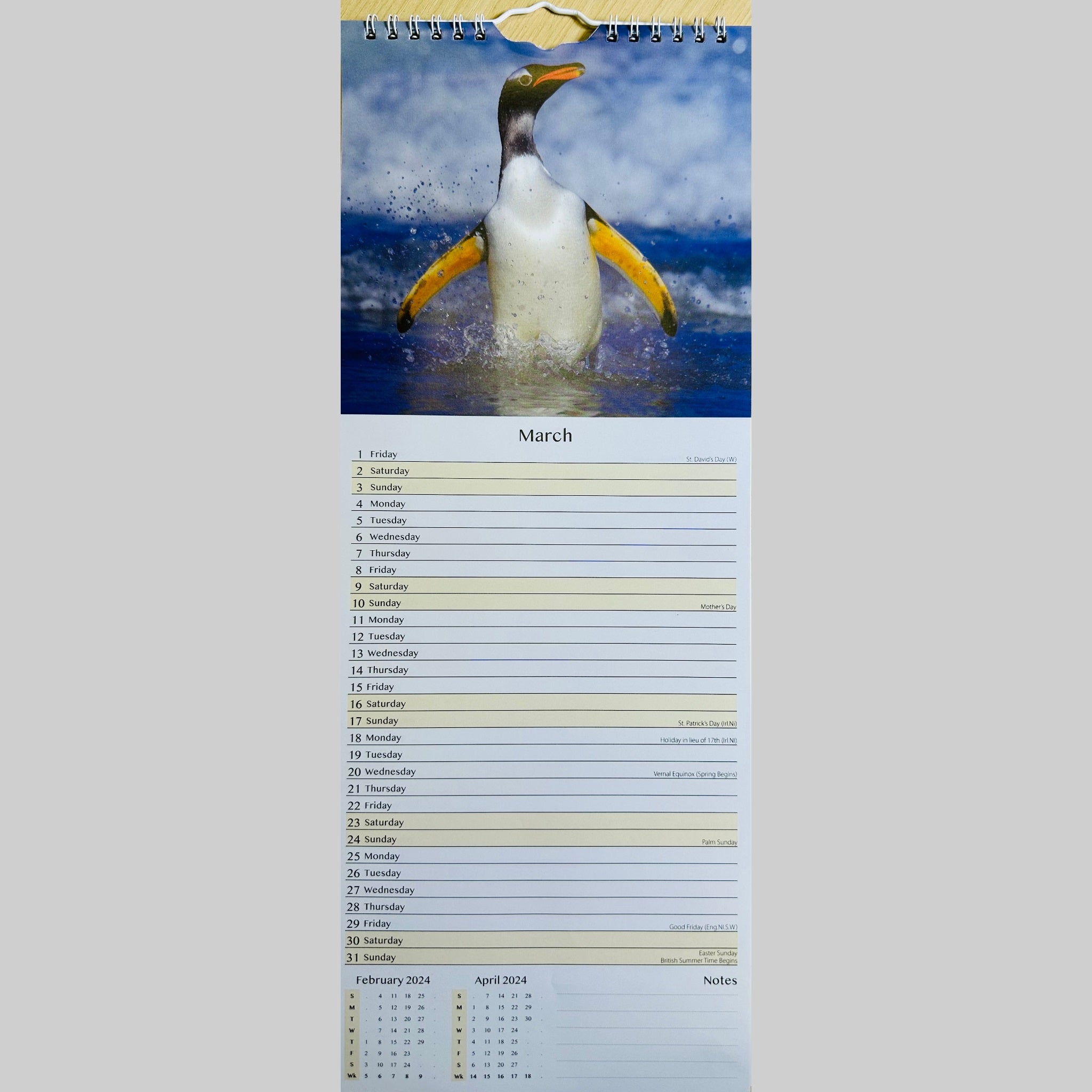 Beclen Harp Super Slim Month to View Spiral Bound Hanging Wall Calendar Home Office 2024 Dolphins and Whales/ Polar Bears and Penguins/ Endangered Animals/ Wildlife