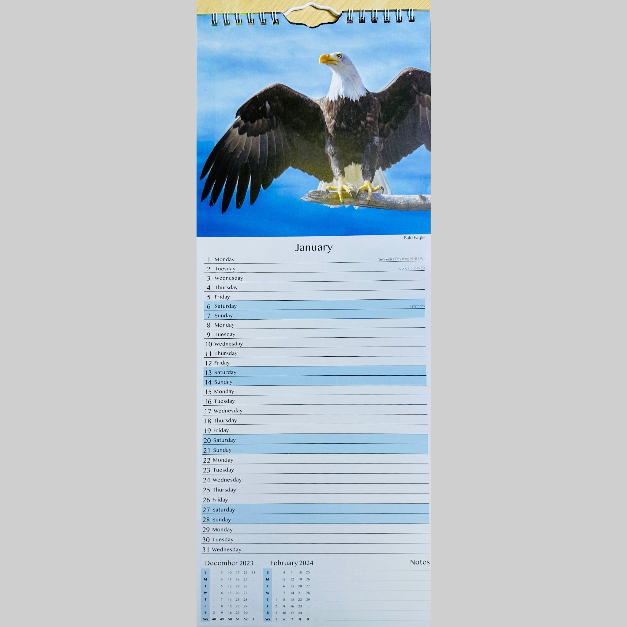 Beclen Harp Super Slim Month to View Spiral Bound Hanging Wall Calendar Home Office 2024 Dolphins and Whales/ Polar Bears and Penguins/ Endangered Animals/ Wildlife