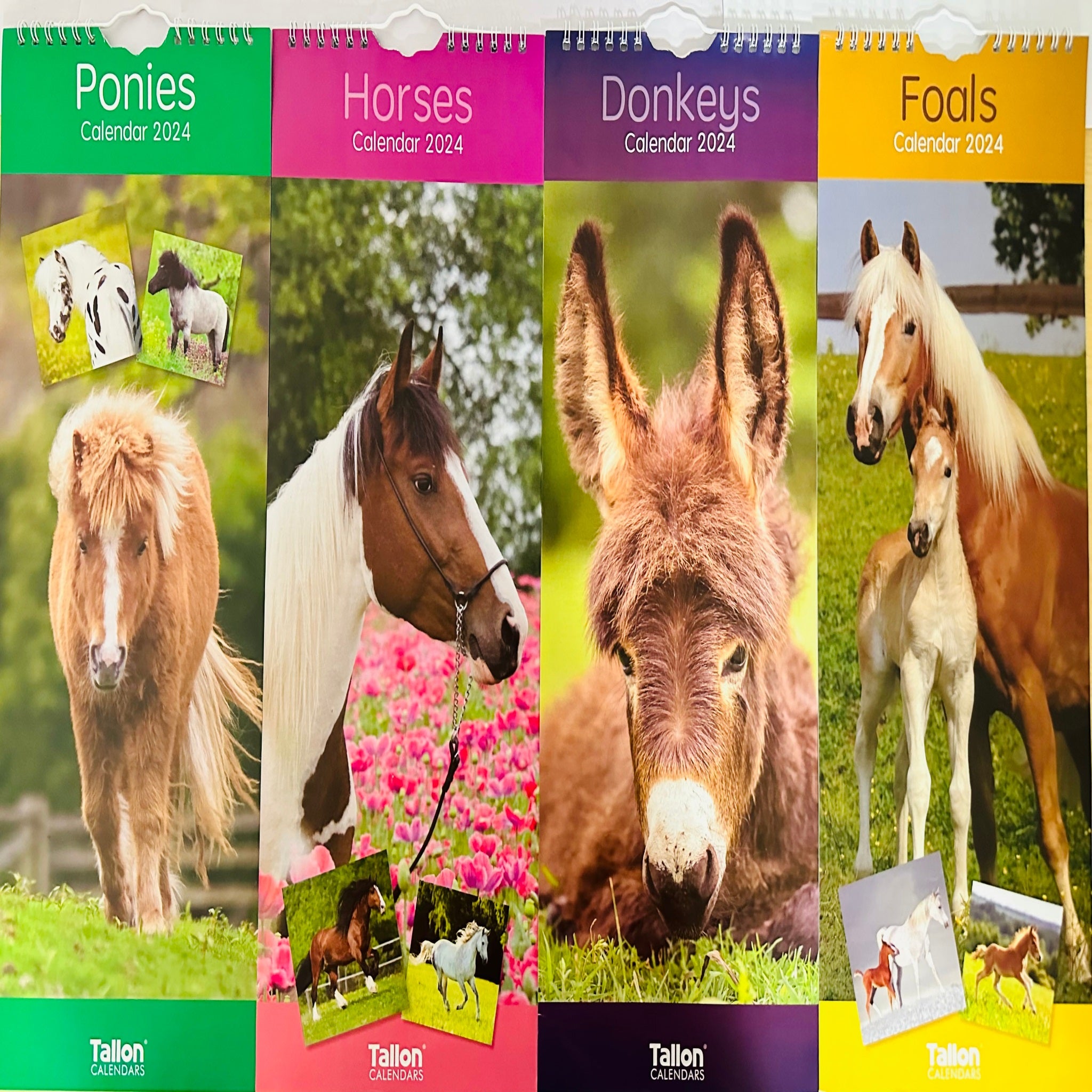 Beclen Harp MTV/ Super Slim Month to View Spiral Bound Hanging Wall Calendar Home Office 2024/ Long Calendar Planner Donkeys, Foals, Horses, Ponies