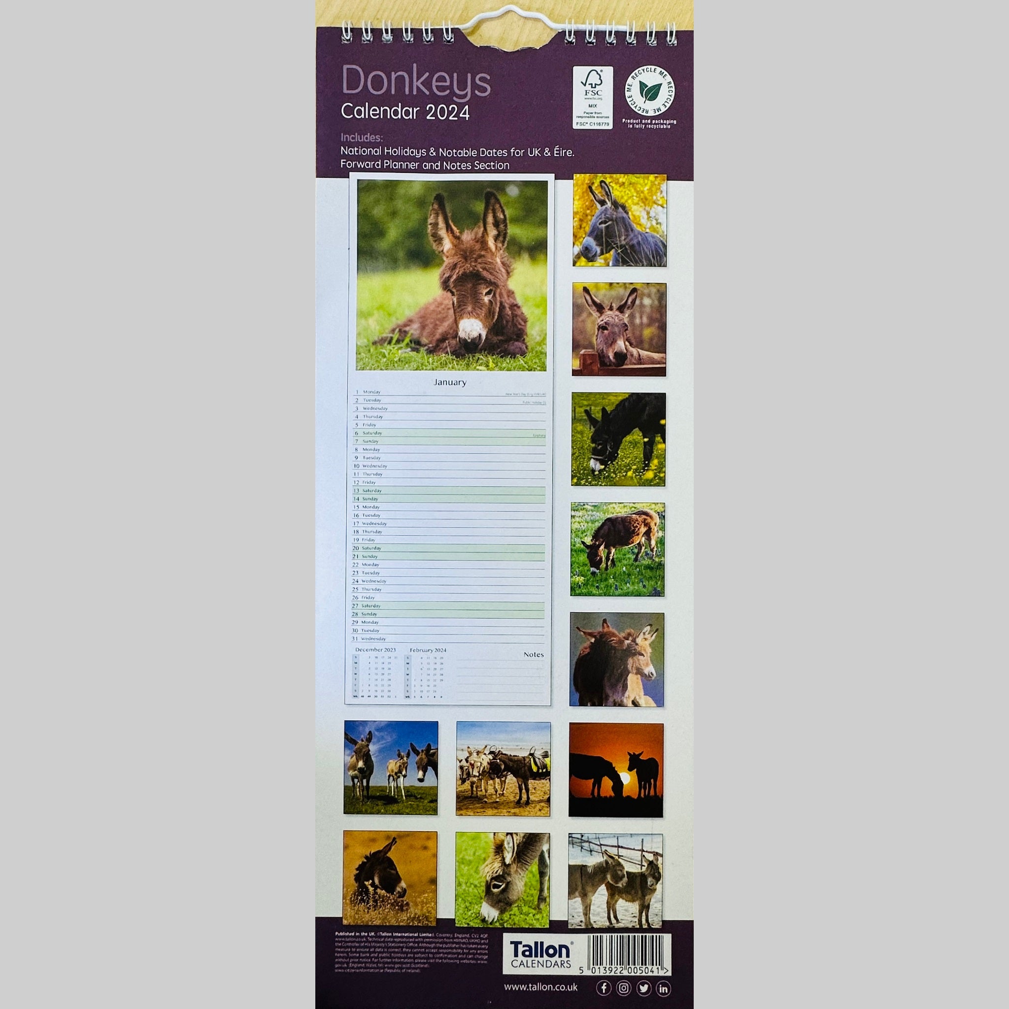 Beclen Harp MTV/ Super Slim Month to View Spiral Bound Hanging Wall Calendar Home Office 2024/ Long Calendar Planner Donkeys, Foals, Horses, Ponies