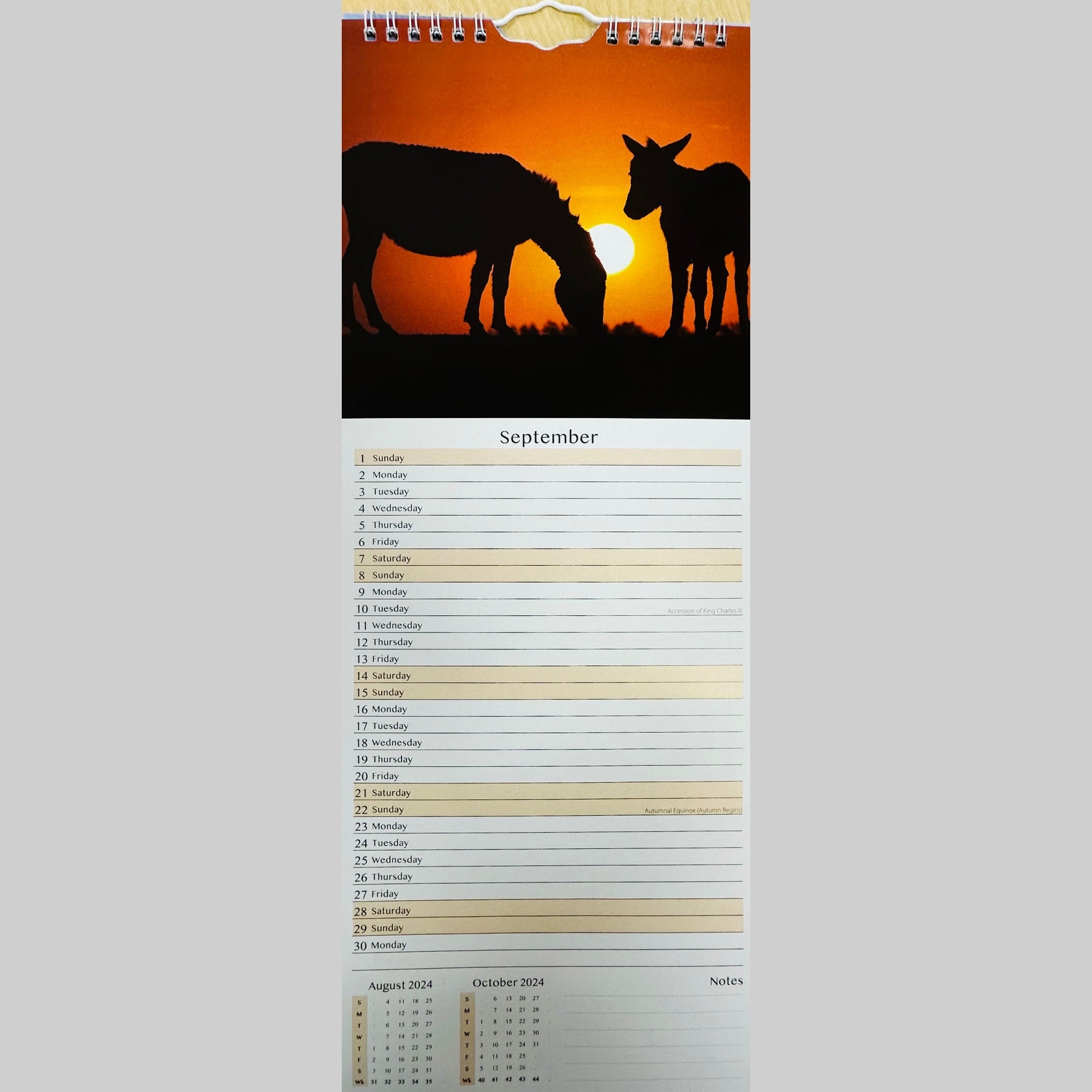 Beclen Harp MTV/ Super Slim Month to View Spiral Bound Hanging Wall Calendar Home Office 2024/ Long Calendar Planner Donkeys, Foals, Horses, Ponies