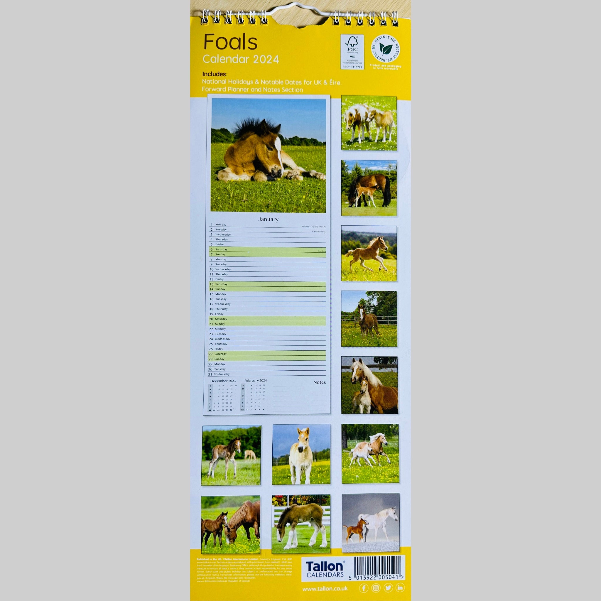 Beclen Harp MTV/ Super Slim Month to View Spiral Bound Hanging Wall Calendar Home Office 2024/ Long Calendar Planner Donkeys, Foals, Horses, Ponies