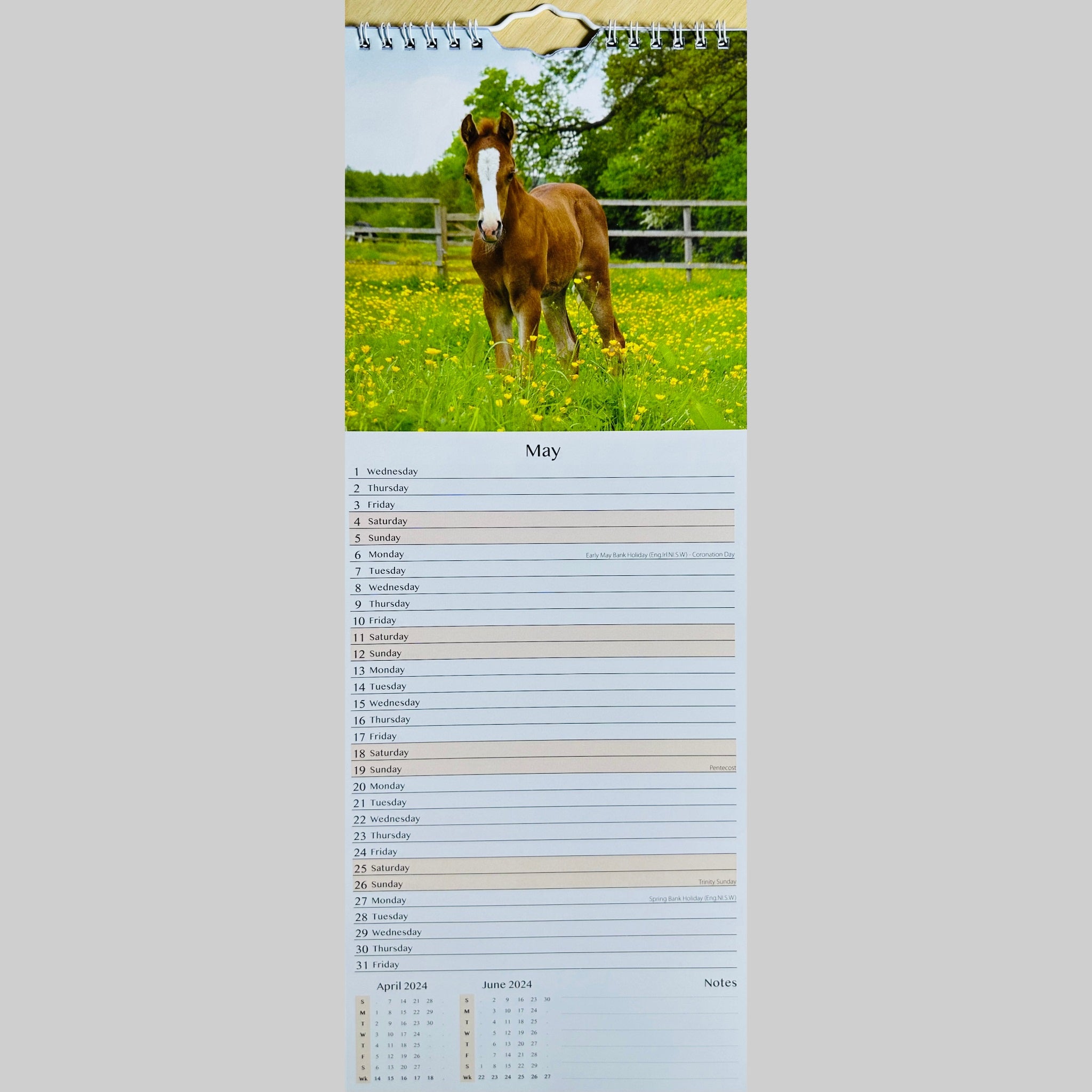 Beclen Harp MTV/ Super Slim Month to View Spiral Bound Hanging Wall Calendar Home Office 2024/ Long Calendar Planner Donkeys, Foals, Horses, Ponies