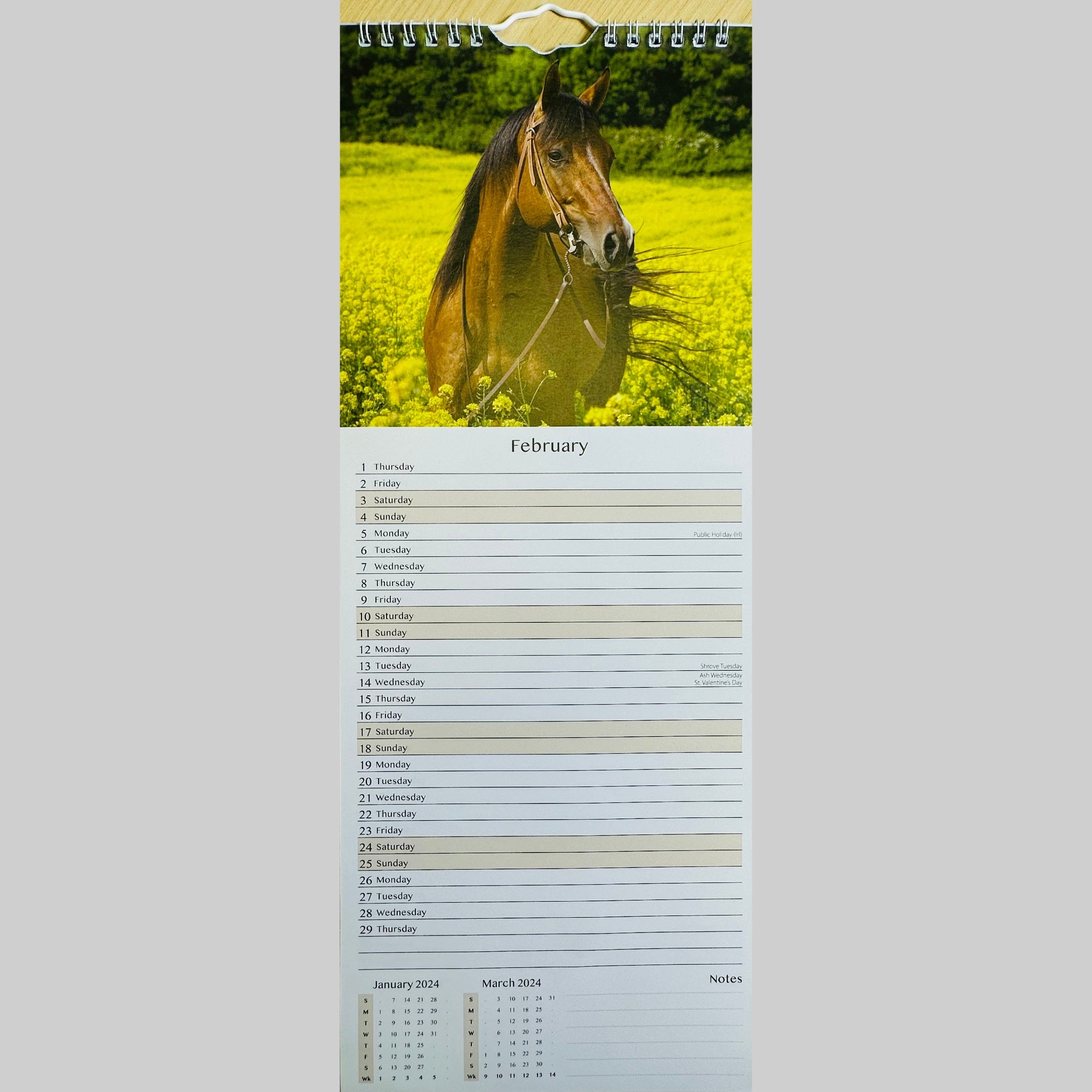 Beclen Harp MTV/ Super Slim Month to View Spiral Bound Hanging Wall Calendar Home Office 2024/ Long Calendar Planner Donkeys, Foals, Horses, Ponies