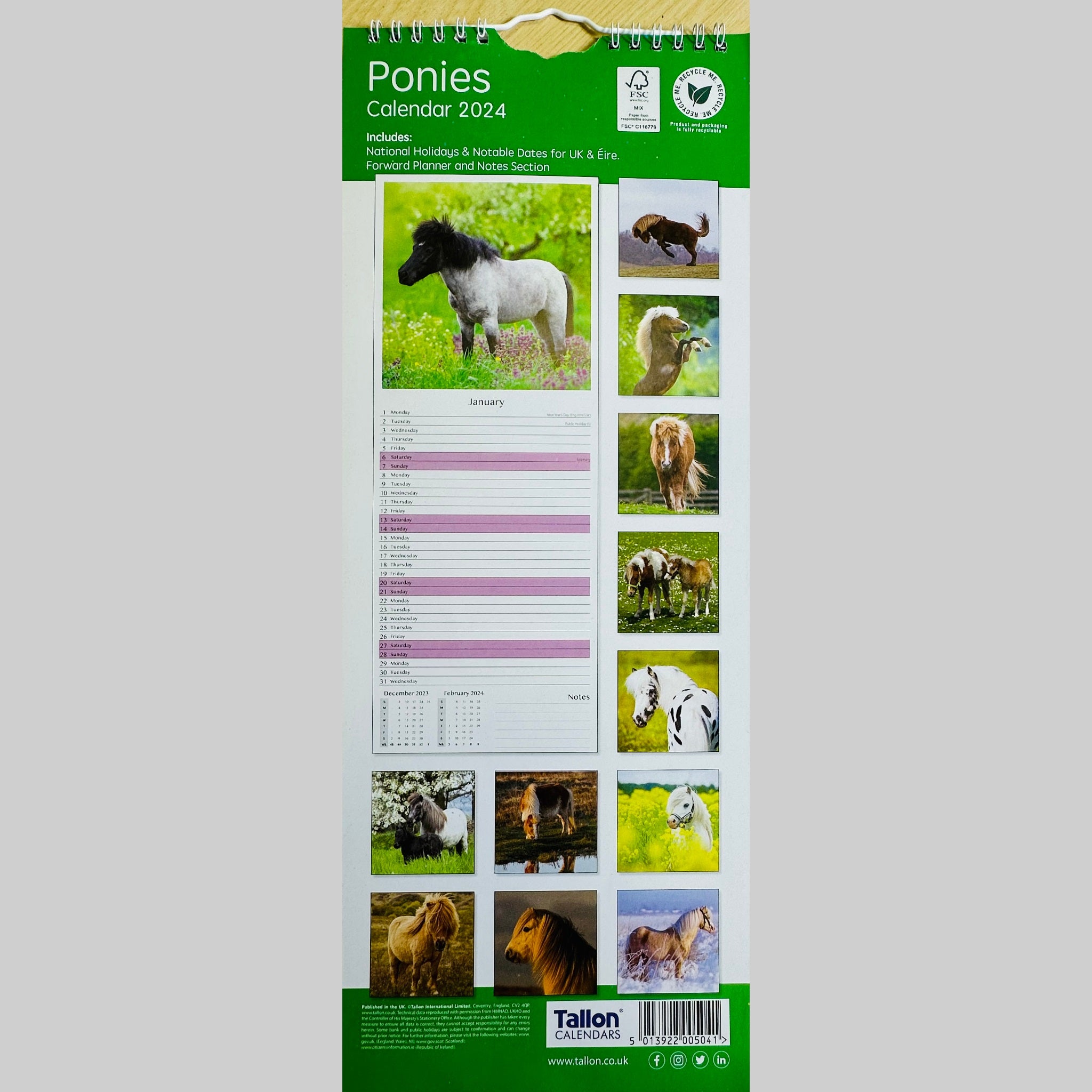 Beclen Harp MTV/ Super Slim Month to View Spiral Bound Hanging Wall Calendar Home Office 2024/ Long Calendar Planner Donkeys, Foals, Horses, Ponies
