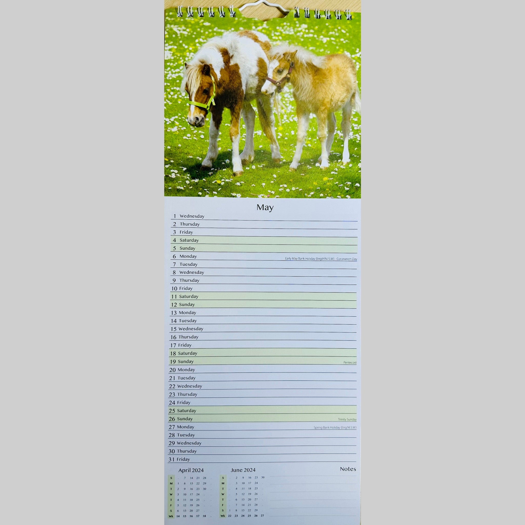 Beclen Harp MTV/ Super Slim Month to View Spiral Bound Hanging Wall Calendar Home Office 2024/ Long Calendar Planner Donkeys, Foals, Horses, Ponies