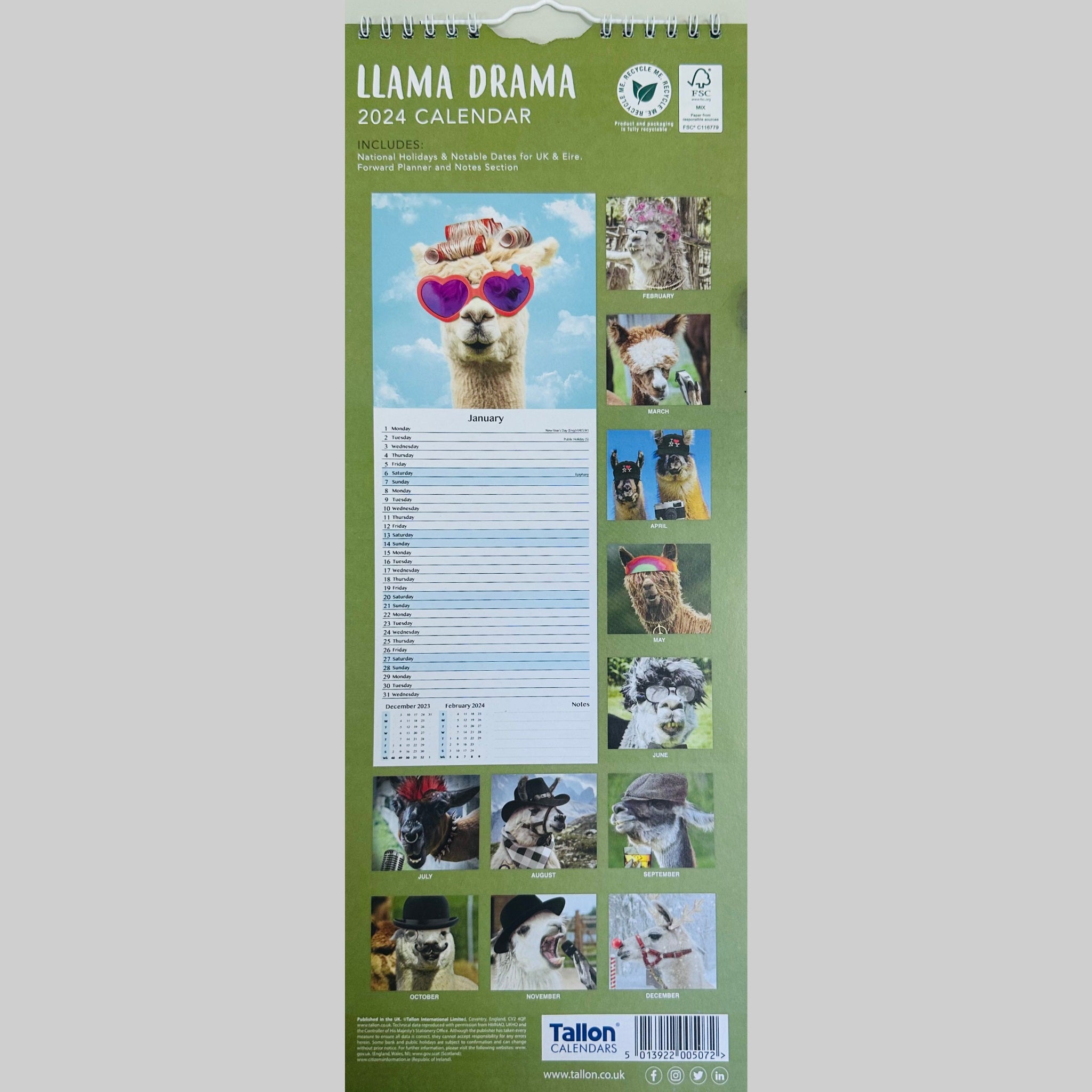 Beclen Harp Super Slim Month to View Spiral Bound Hanging Wall Calendar Home Office 2024