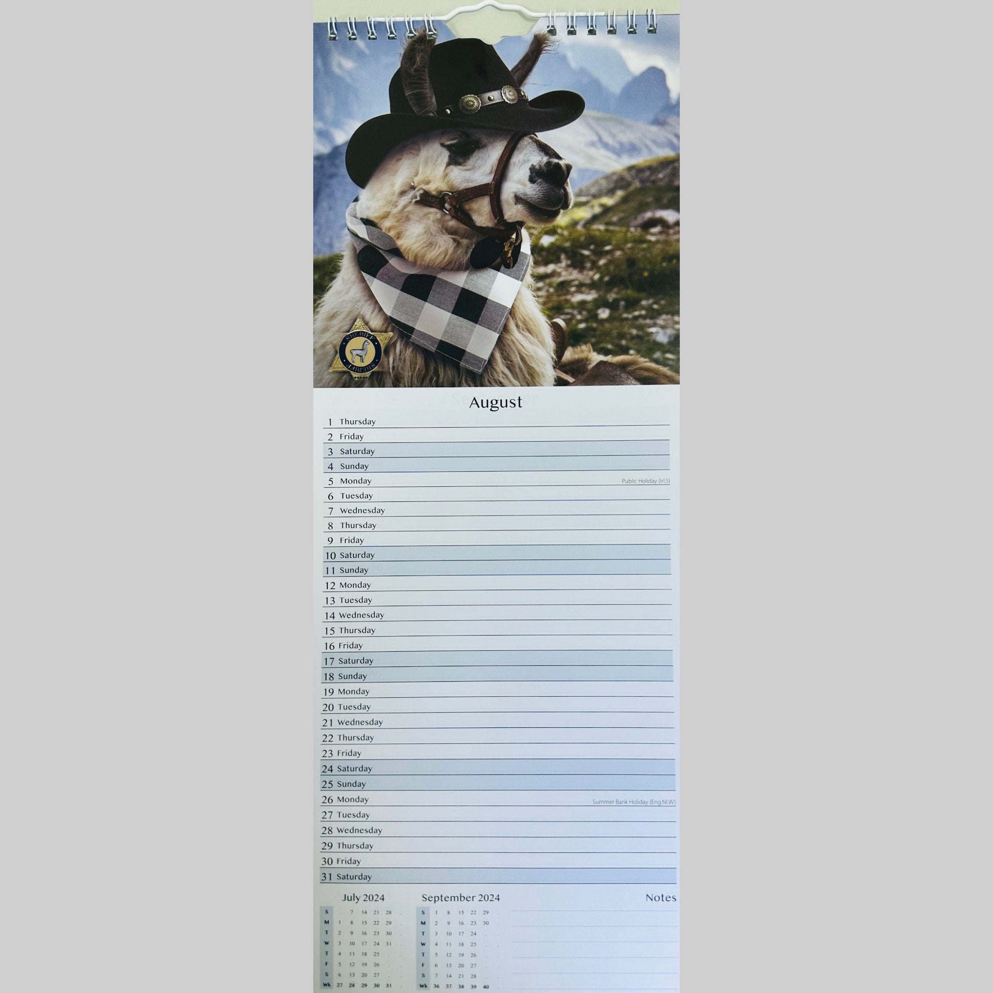 Beclen Harp Super Slim Month to View Spiral Bound Hanging Wall Calendar Home Office 2024