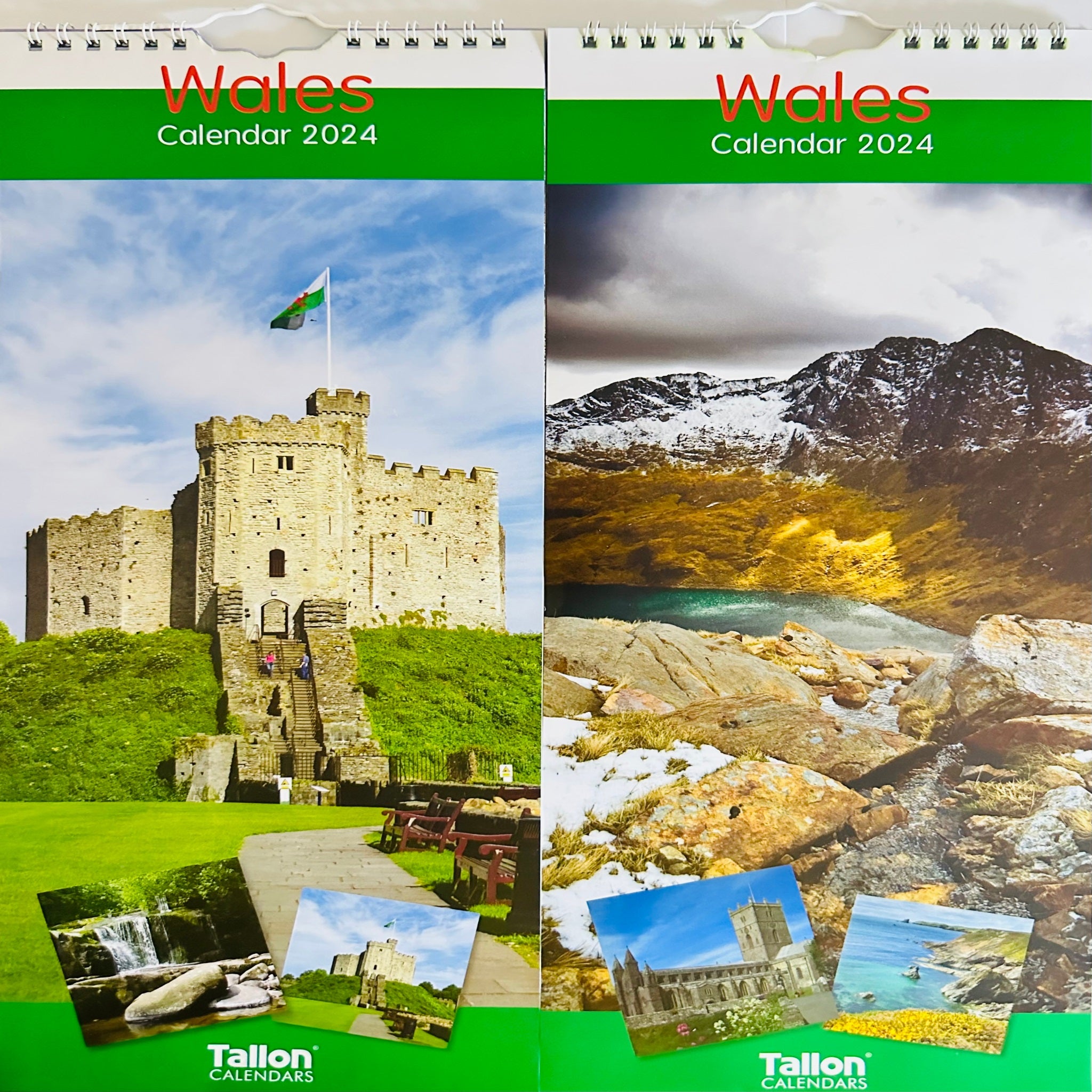 Beclen Harp Super Slim Month to View Spiral Bound Hanging Wall Calendar Home Office 2024 Wales