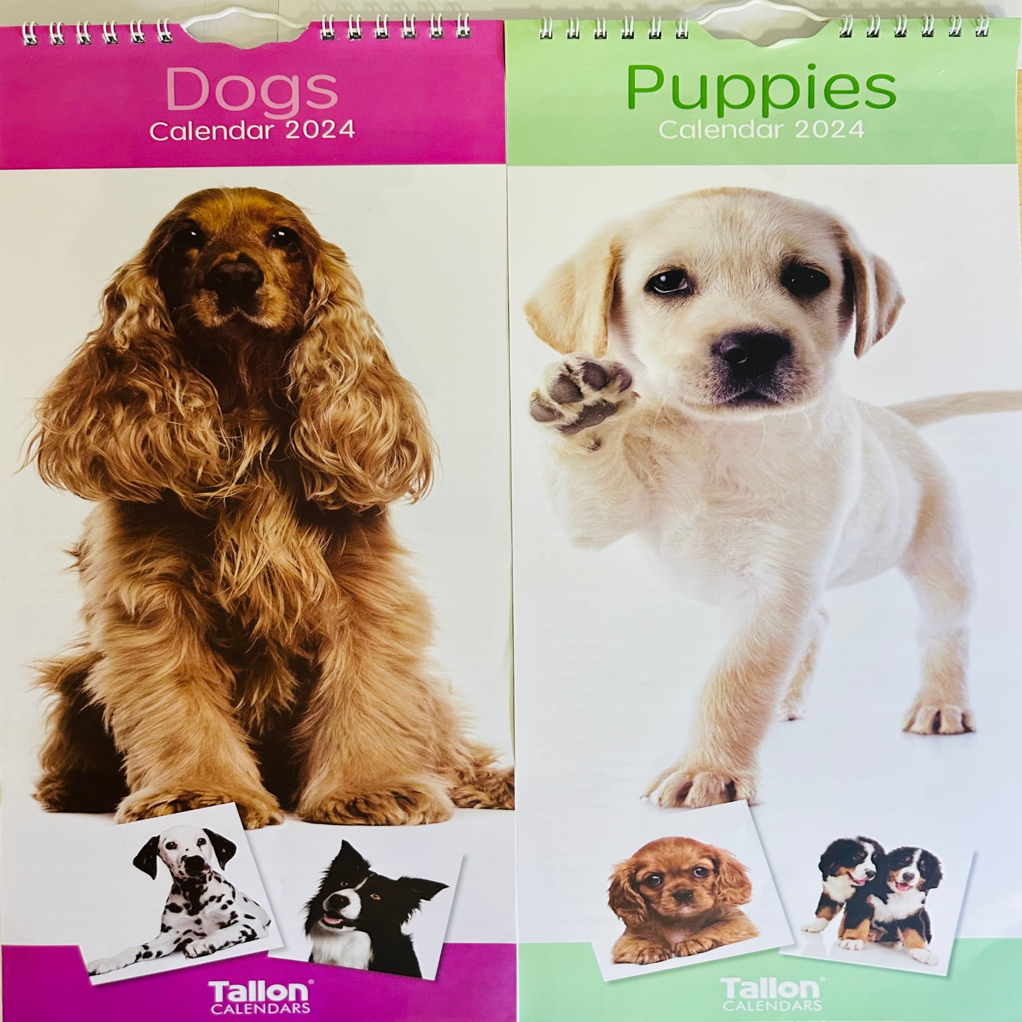 Beclen Harp Super Slim Month to View Spiral Bound Hanging Wall Calendar Home Office 2024 Dogs and Puppies