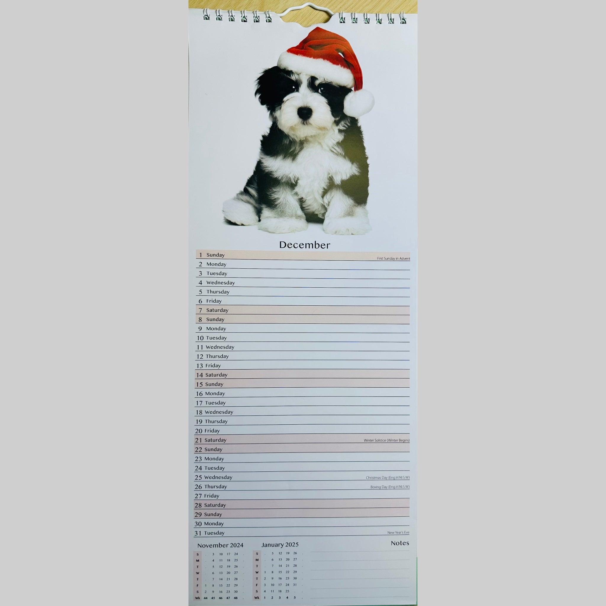 Beclen Harp Super Slim Month to View Spiral Bound Hanging Wall Calendar Home Office 2024 Dogs and Puppies