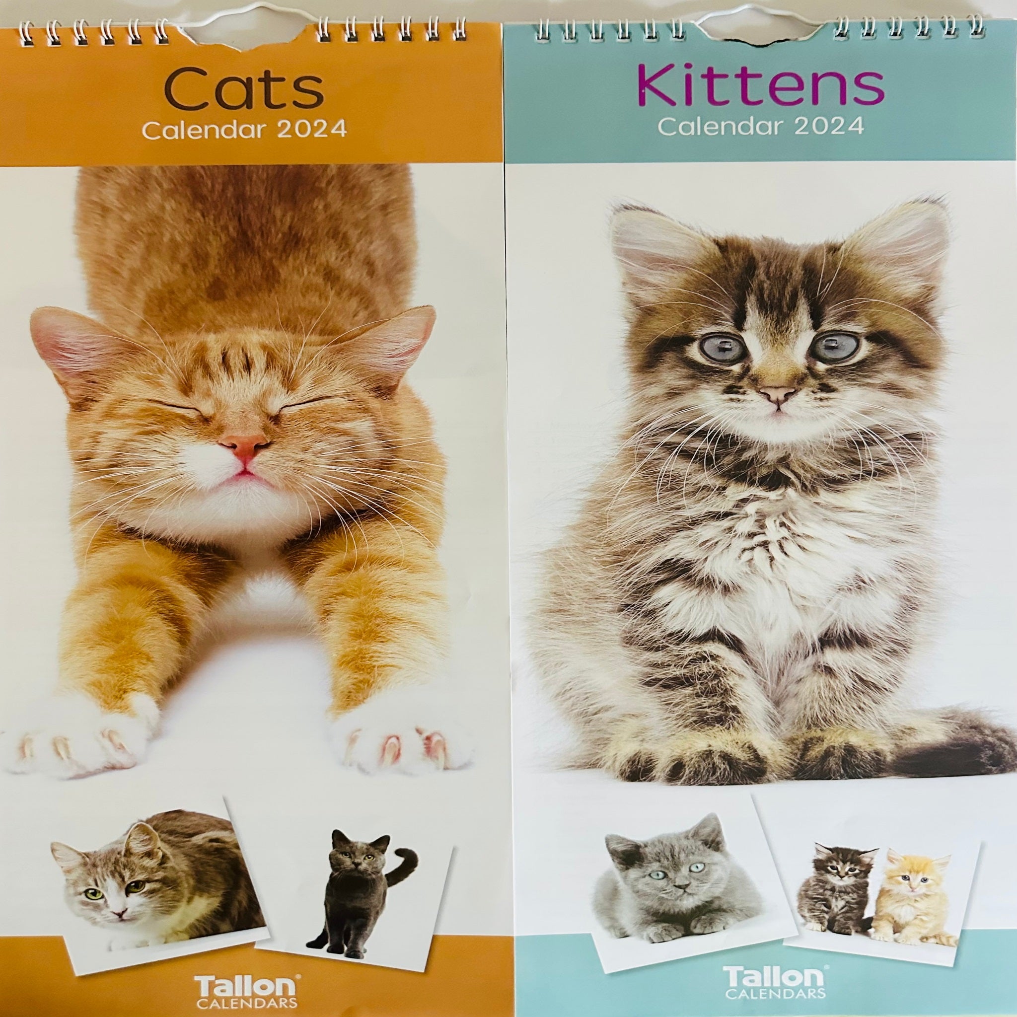 Beclen Harp Super Slim Month to View Spiral Bound Hanging Wall Calendar Home Office 2024 Cats and Kittens