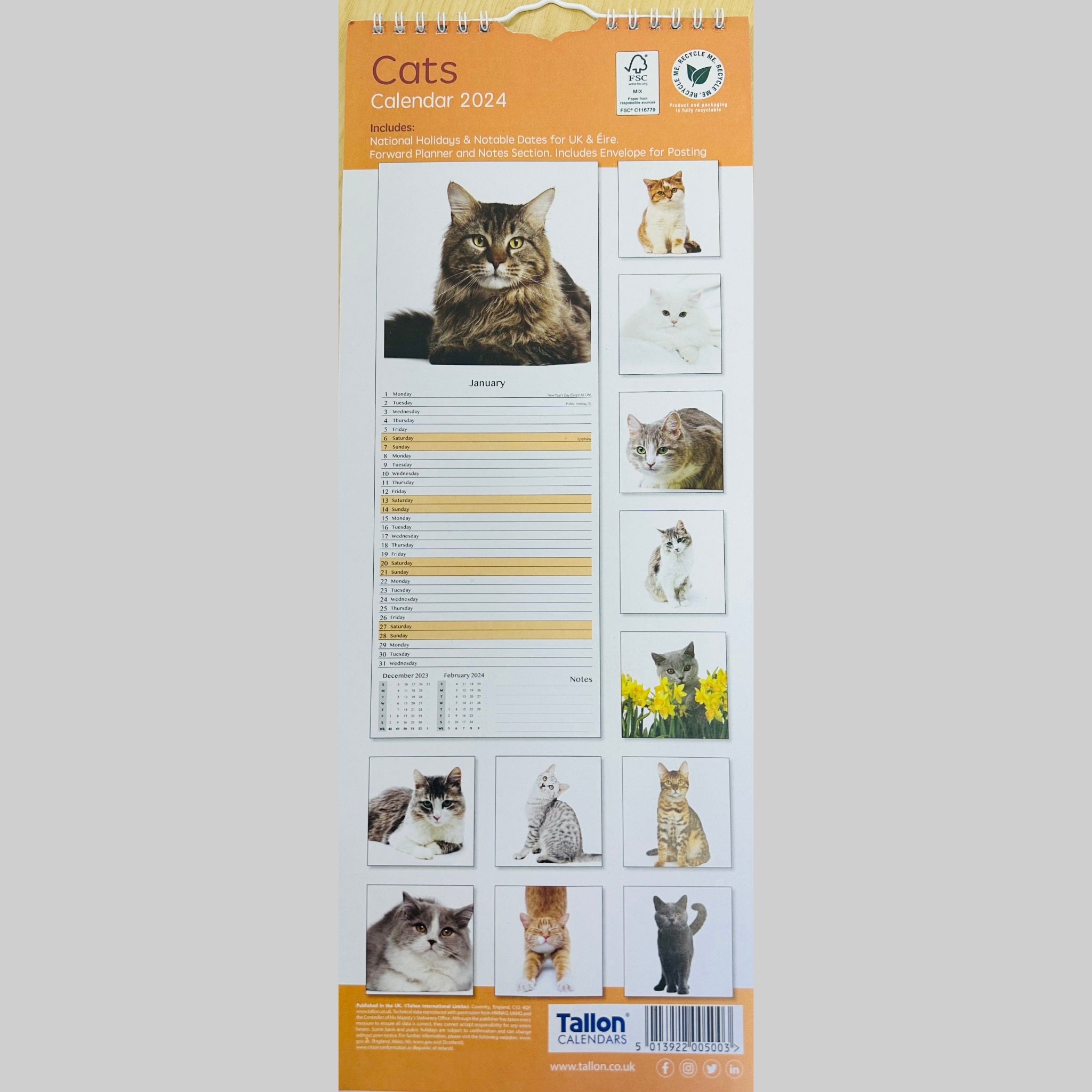 Beclen Harp Super Slim Month to View Spiral Bound Hanging Wall Calendar Home Office 2024 Cats and Kittens