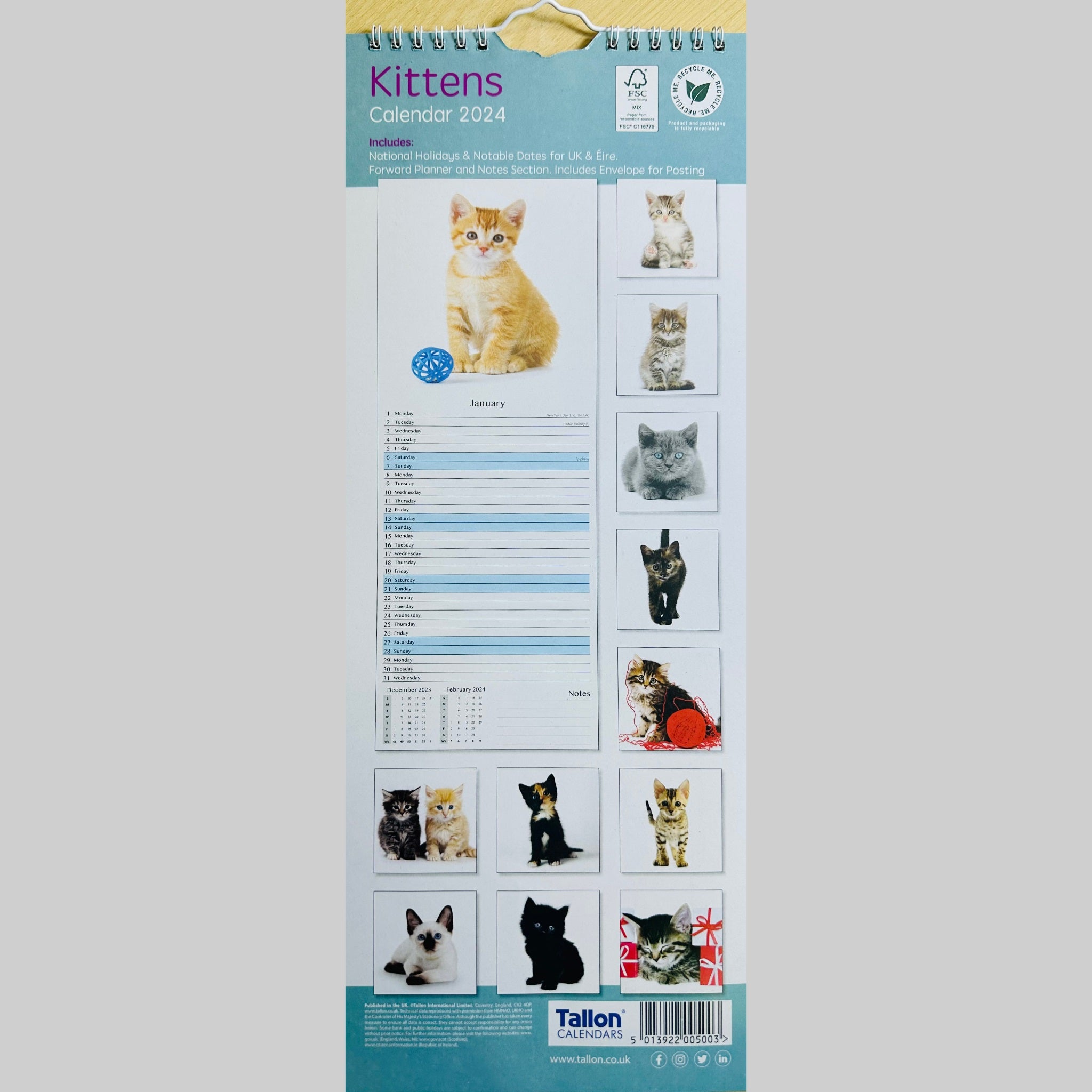 Beclen Harp Super Slim Month to View Spiral Bound Hanging Wall Calendar Home Office 2024 Cats and Kittens