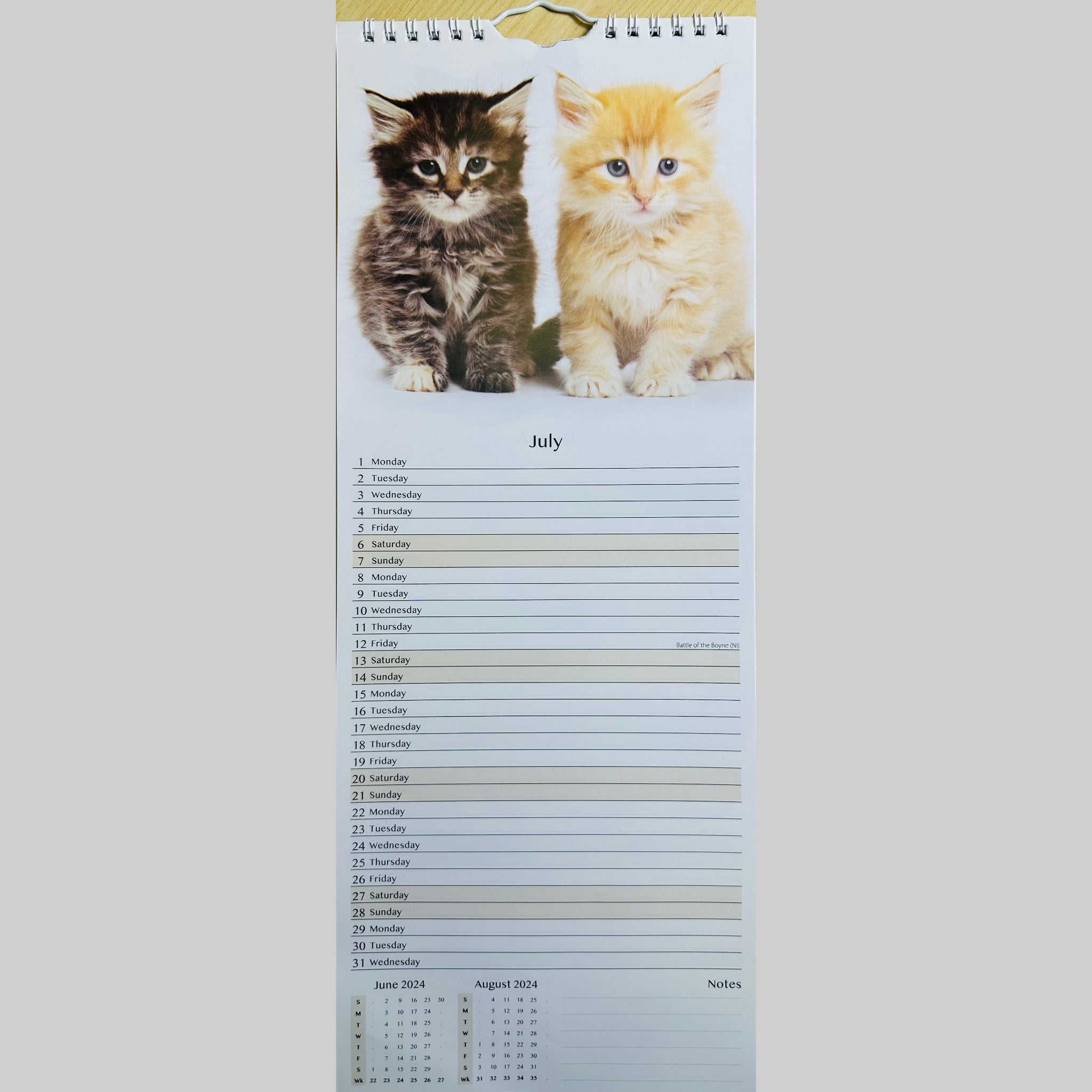 Beclen Harp Super Slim Month to View Spiral Bound Hanging Wall Calendar Home Office 2024 Cats and Kittens