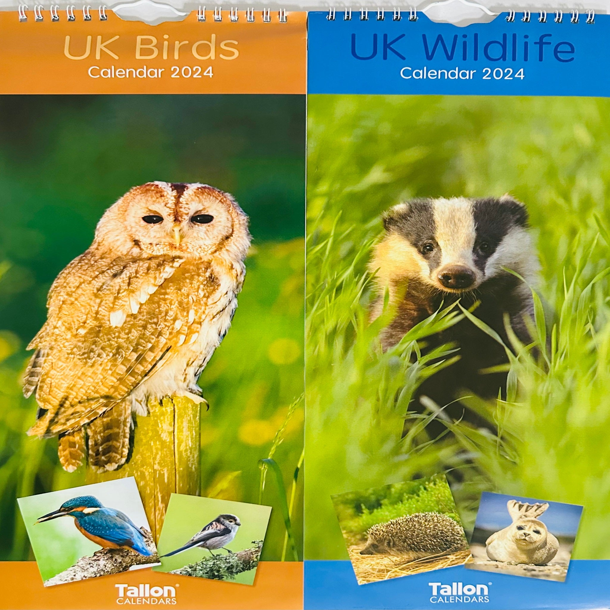 Beclen Harp Super Slim Month to View Spiral Bound Hanging Wall Calendar Home Office 2024 UK Wildlife and UK Birds
