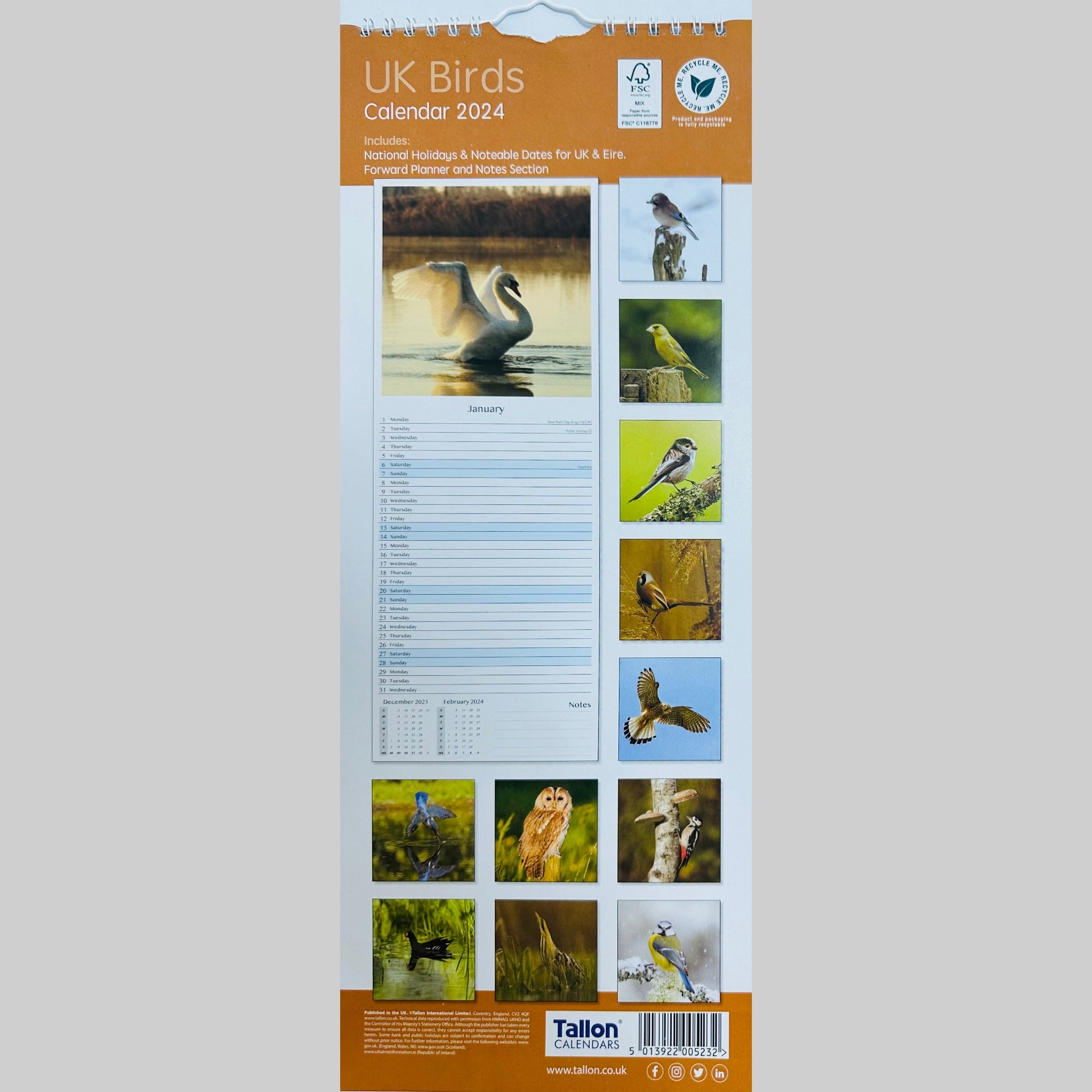 Beclen Harp Super Slim Month to View Spiral Bound Hanging Wall Calendar Home Office 2024 UK Wildlife and UK Birds