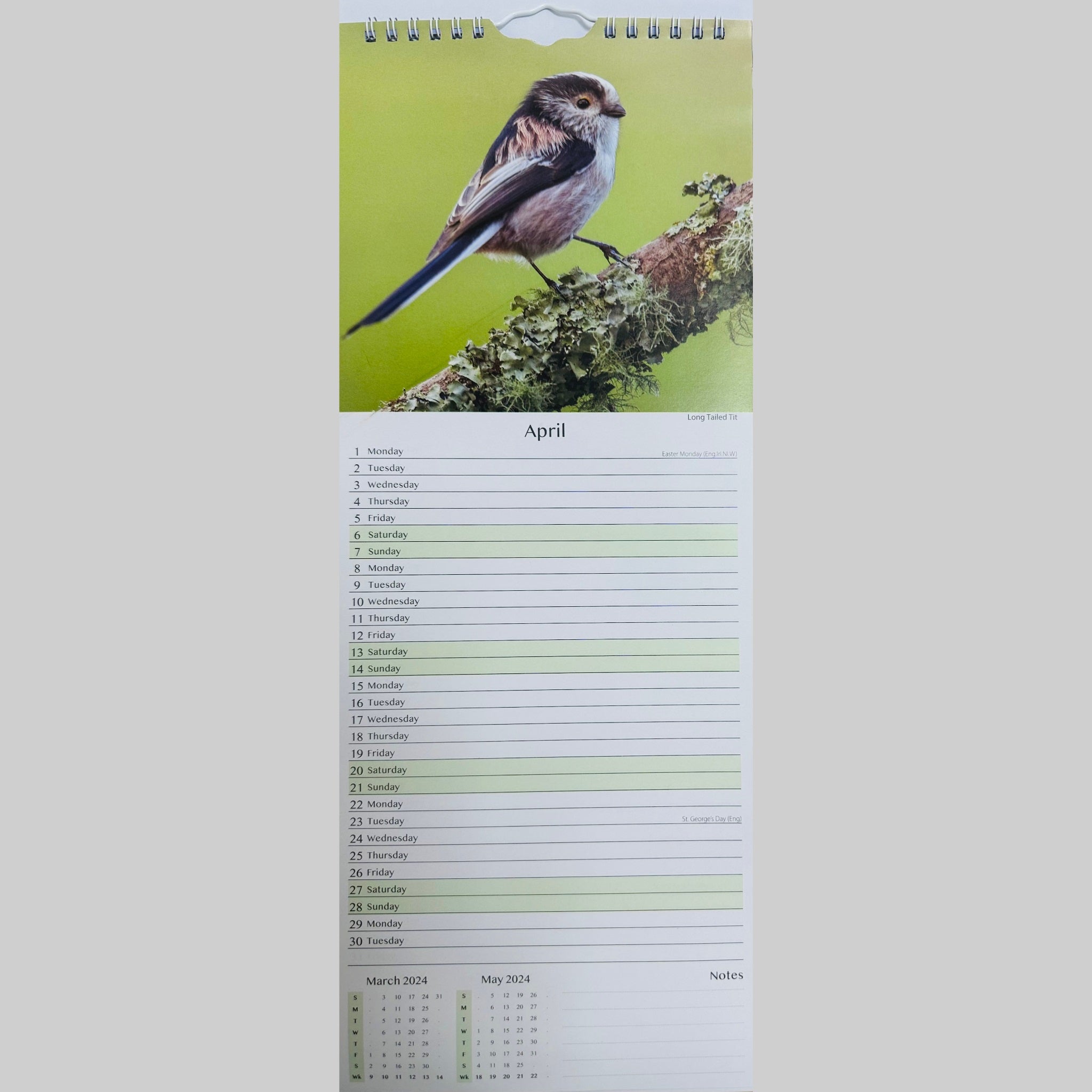 Beclen Harp Super Slim Month to View Spiral Bound Hanging Wall Calendar Home Office 2024 UK Wildlife and UK Birds