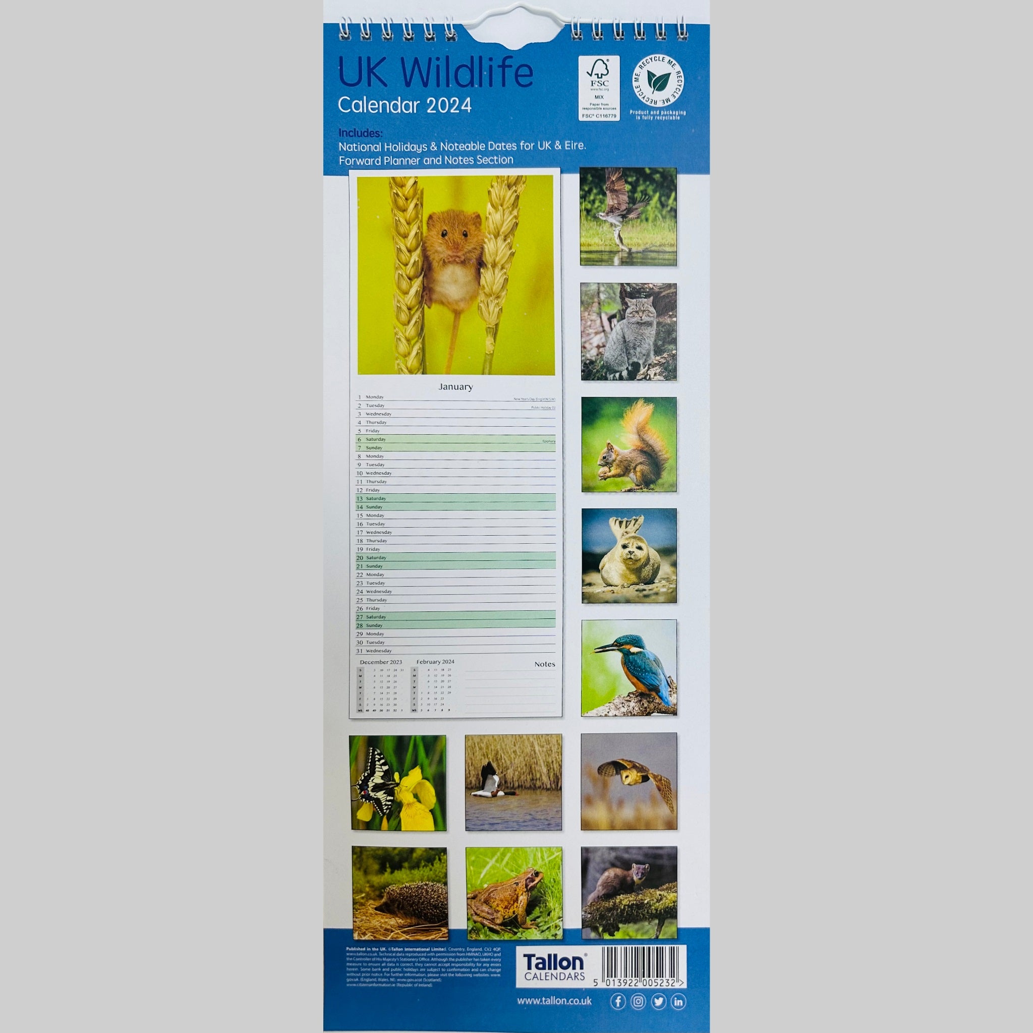 Beclen Harp Super Slim Month to View Spiral Bound Hanging Wall Calendar Home Office 2024 UK Wildlife and UK Birds