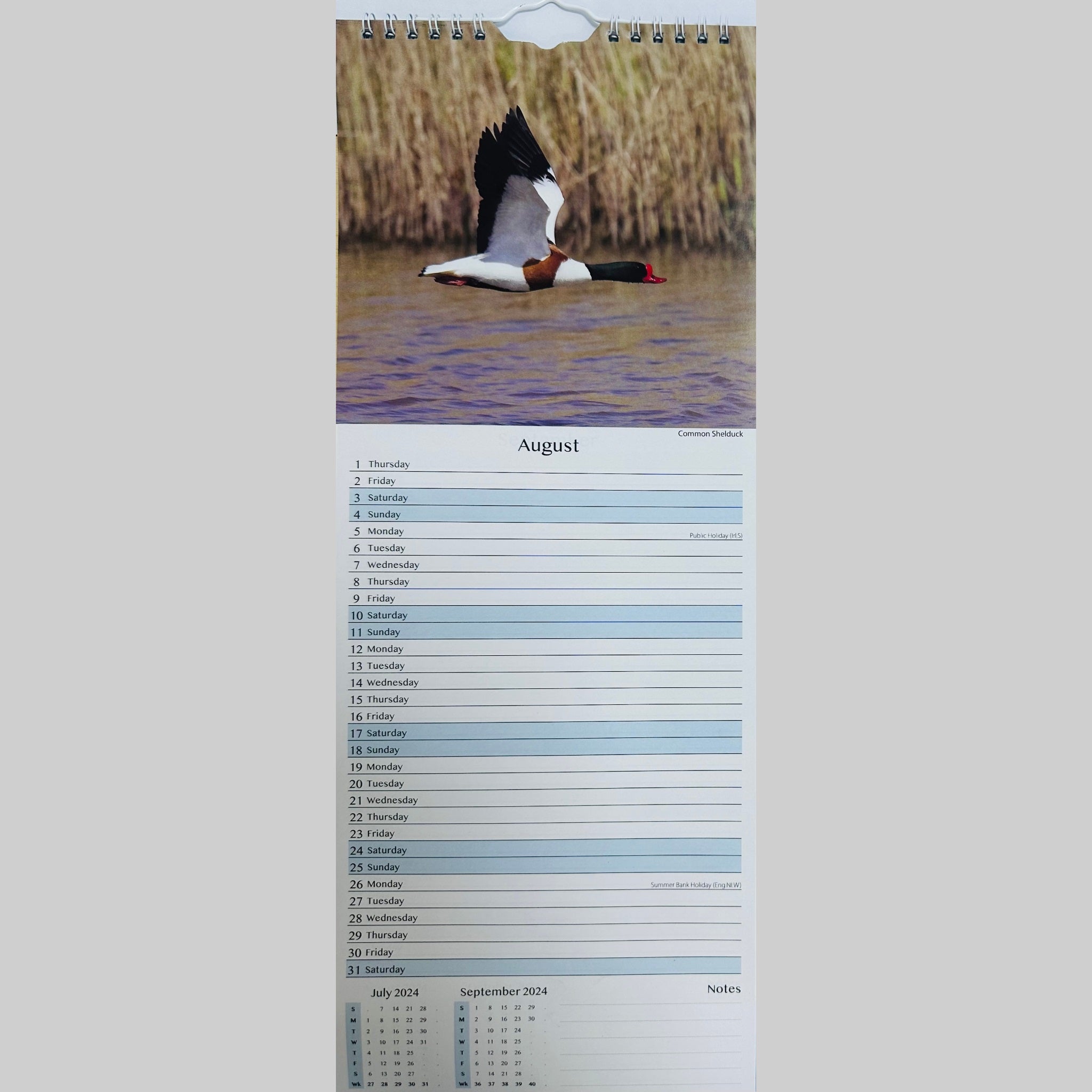 Beclen Harp Super Slim Month to View Spiral Bound Hanging Wall Calendar Home Office 2024 UK Wildlife and UK Birds
