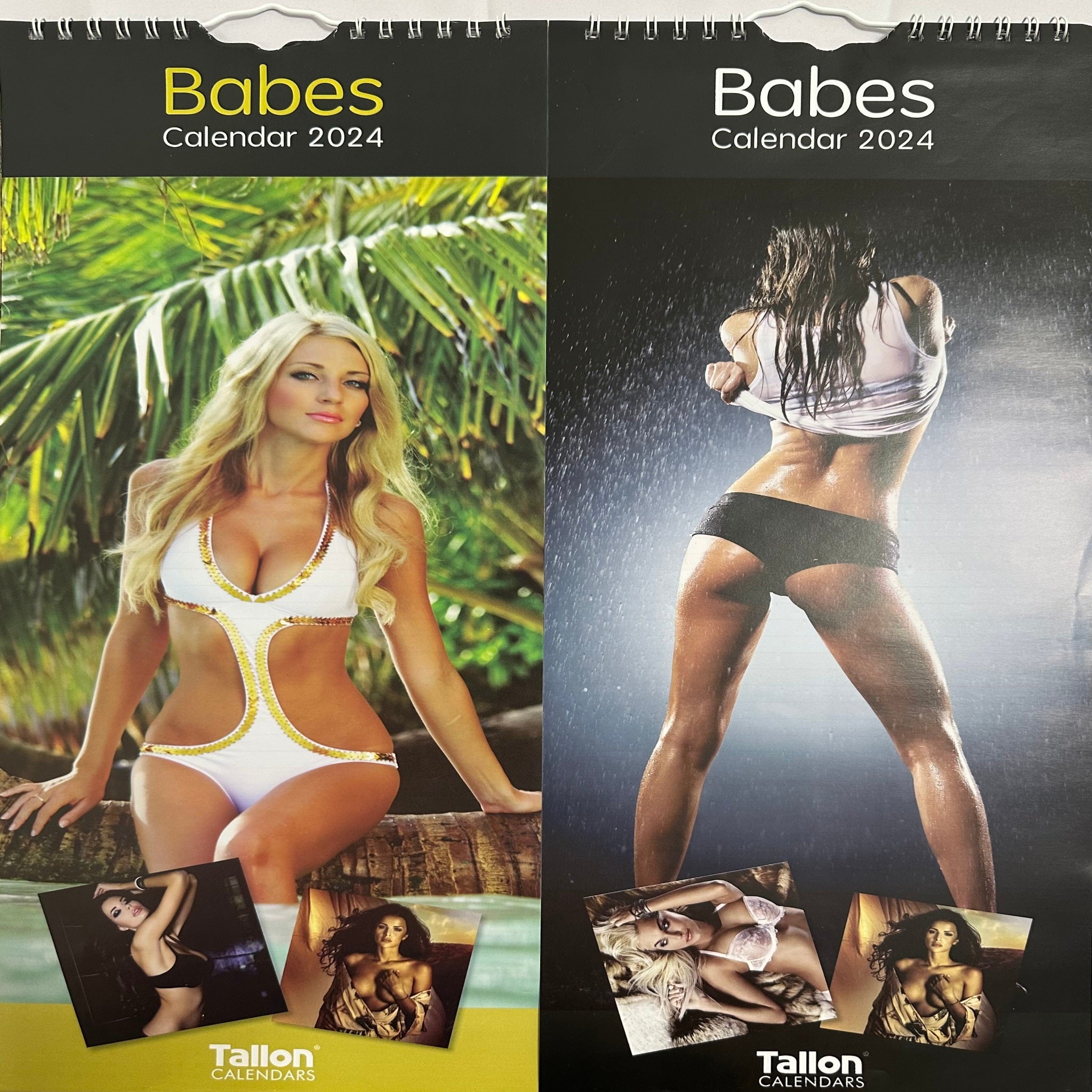 Beclen Harp Super Slim Month to View Spiral Bound Hanging Wall Calendar Home Office 2024 Babes