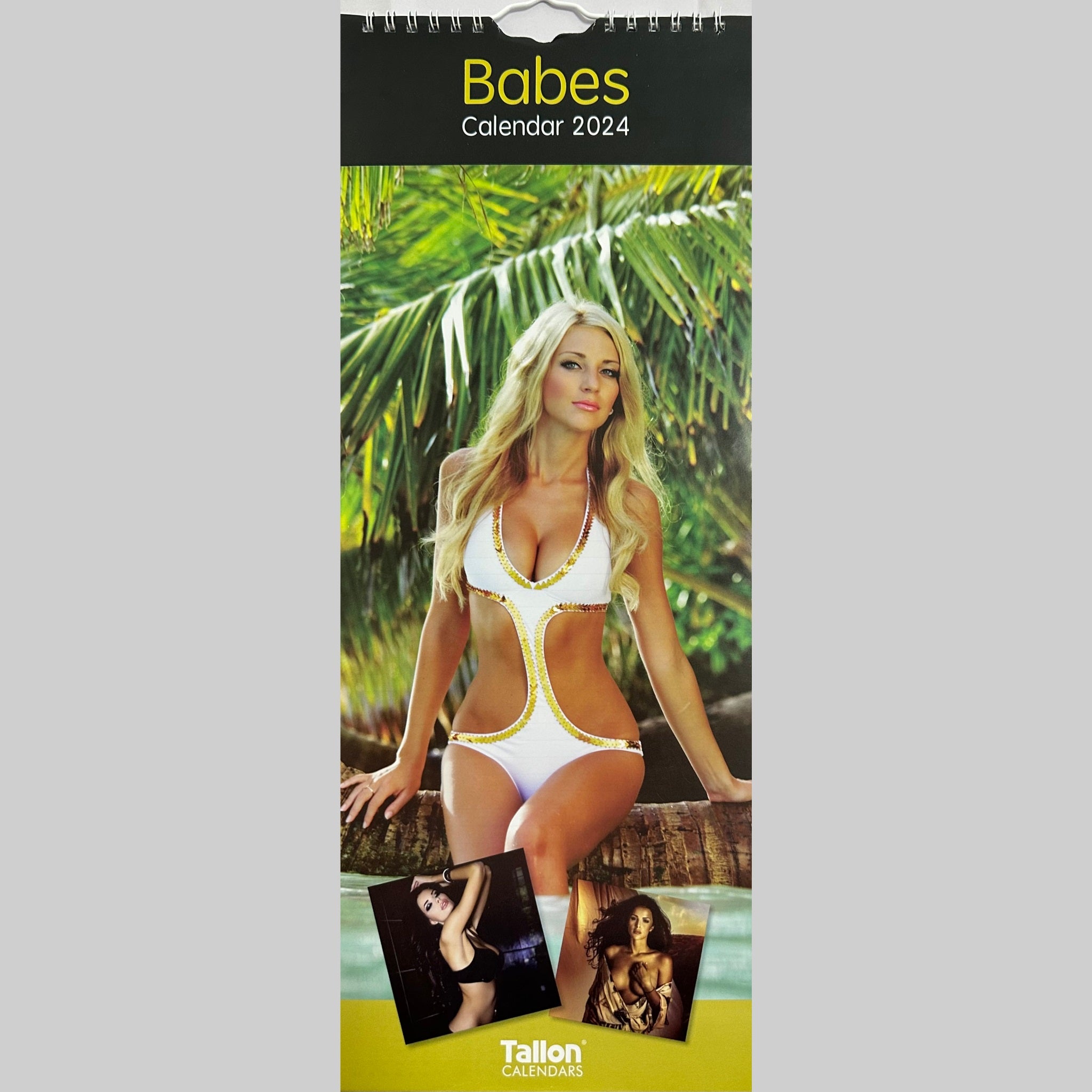 Beclen Harp Super Slim Month to View Spiral Bound Hanging Wall Calendar Home Office 2024 Babes