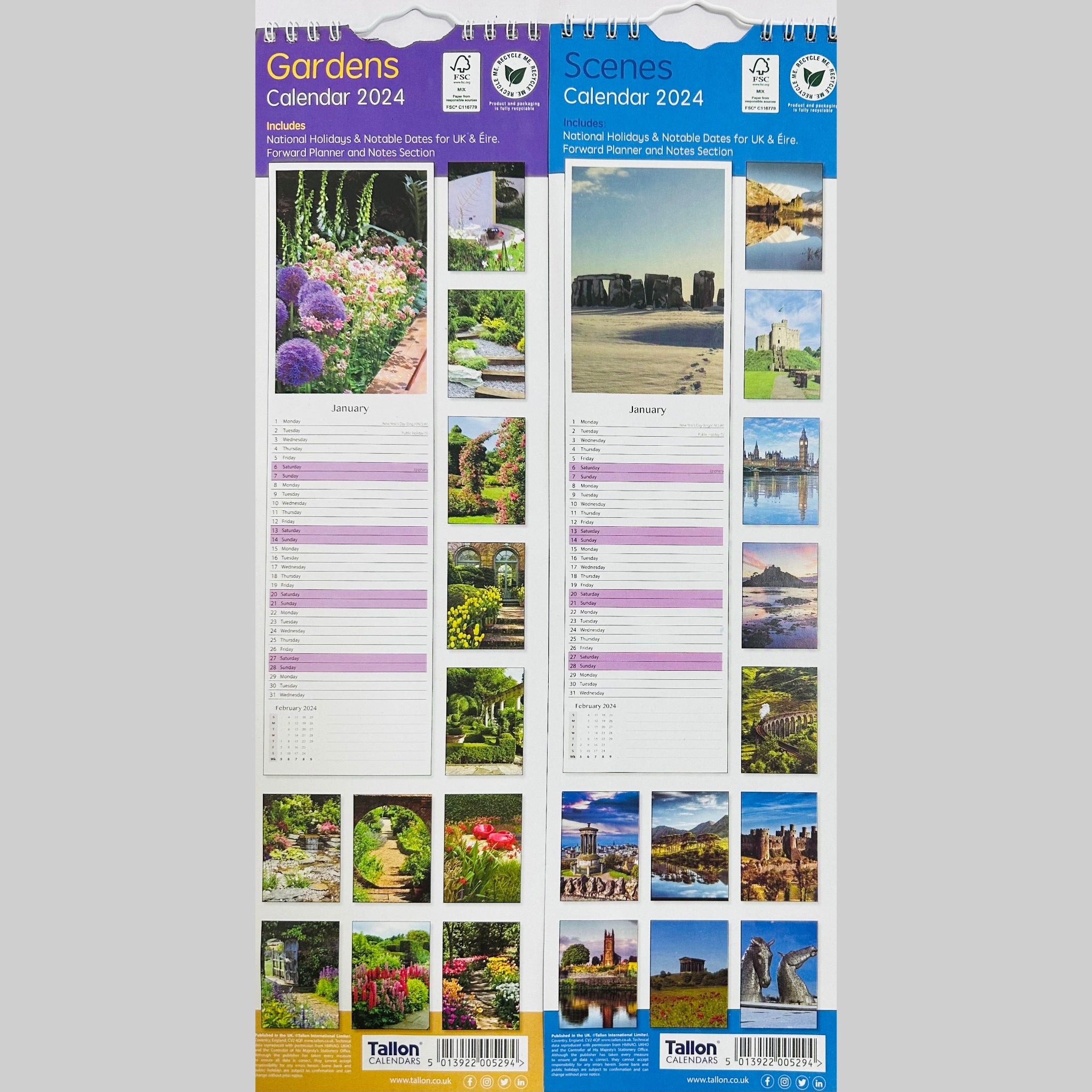 Beclen Harp Super Slim Month to View Spiral Bound Hanging Wall Calendar Home Office 2024 Dogs, Puppies, Kittens, Cats, Wildlife, Flowers, Scenes, Gardens
