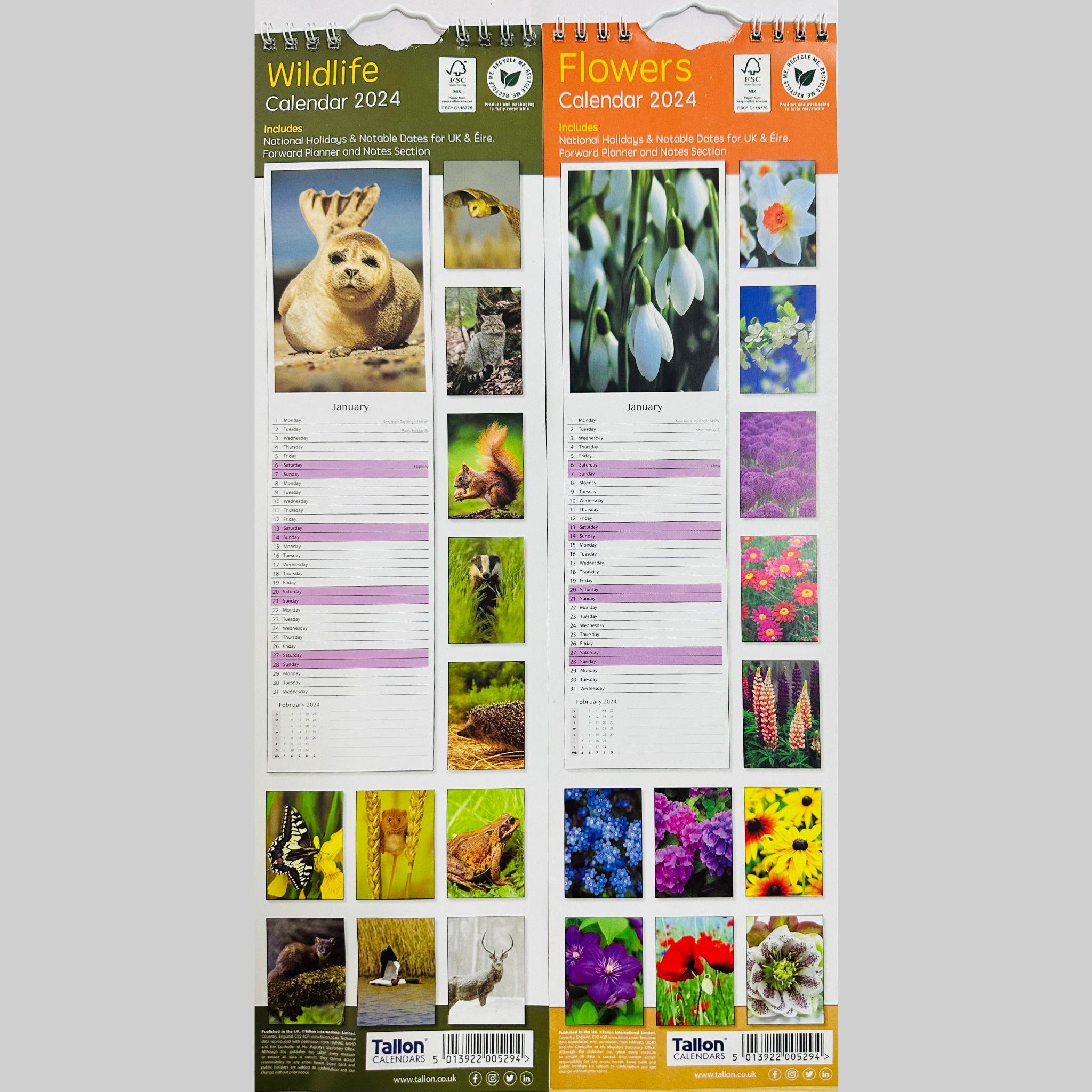 Beclen Harp Super Slim Month to View Spiral Bound Hanging Wall Calendar Home Office 2024 Dogs, Puppies, Kittens, Cats, Wildlife, Flowers, Scenes, Gardens