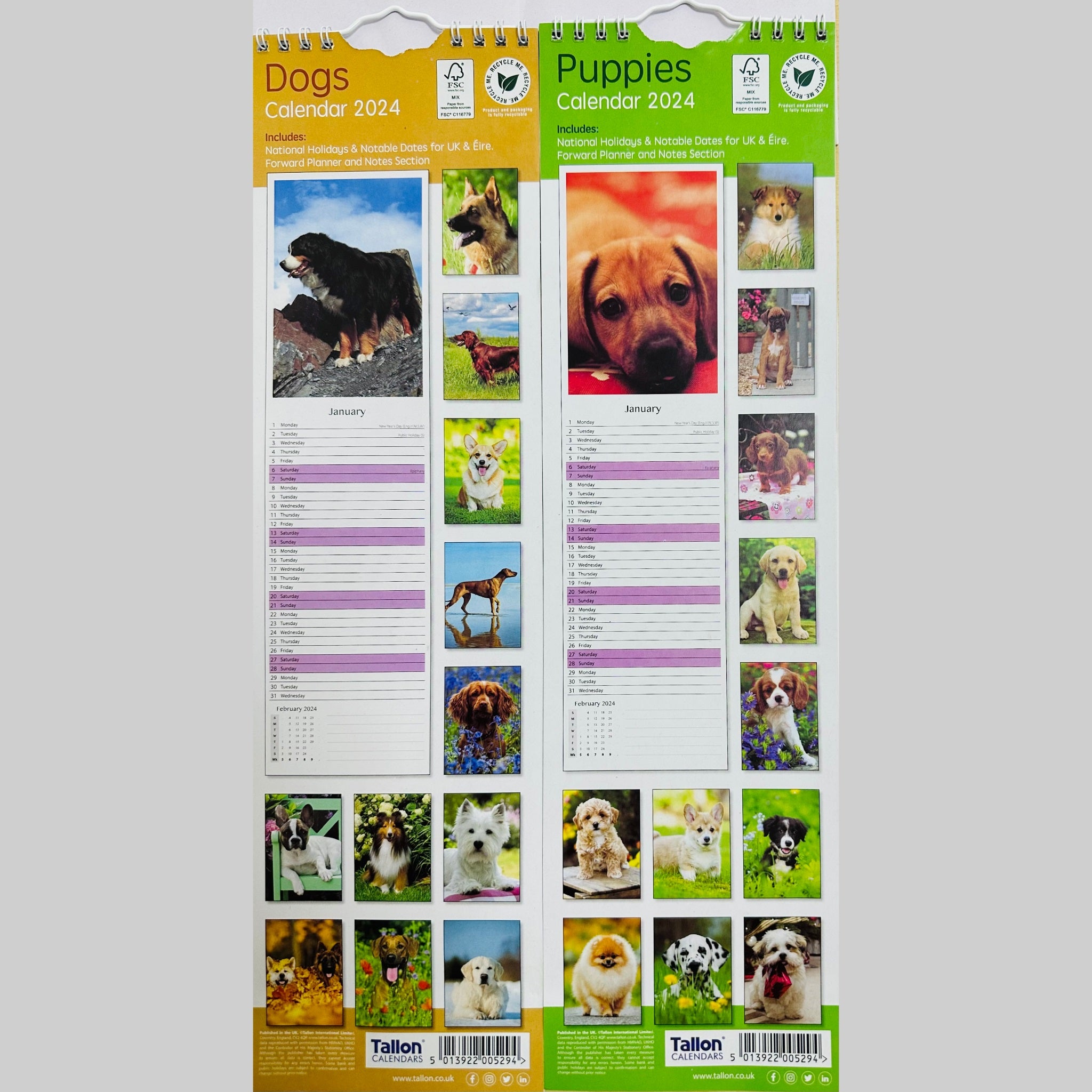 Beclen Harp Super Slim Month to View Spiral Bound Hanging Wall Calendar Home Office 2024 Dogs, Puppies, Kittens, Cats, Wildlife, Flowers, Scenes, Gardens